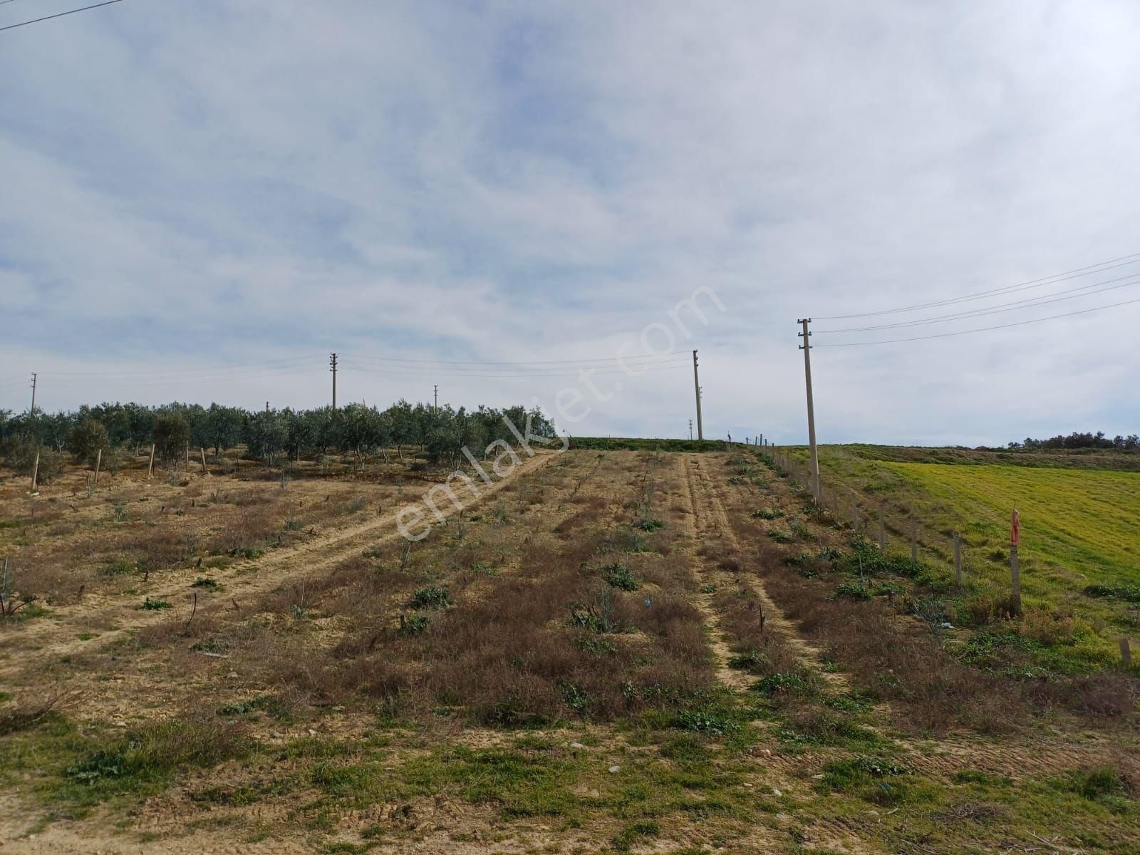 Alaşehir Kemaliye Satılık Konut İmarlı Satılık Arsa