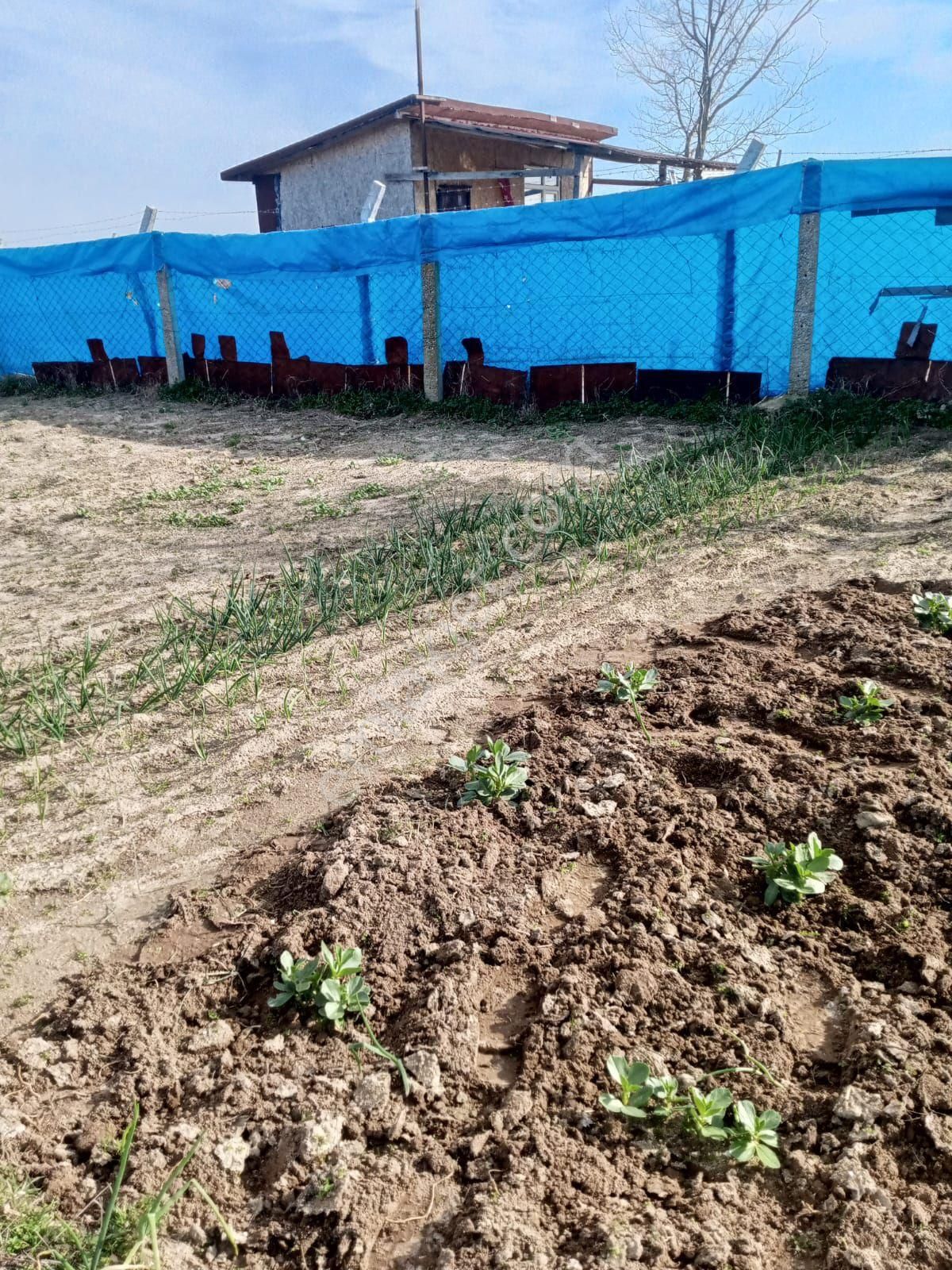 Saray Bozoba Satılık Arazi Saray Büyükyoncalı Kasım Eğreği