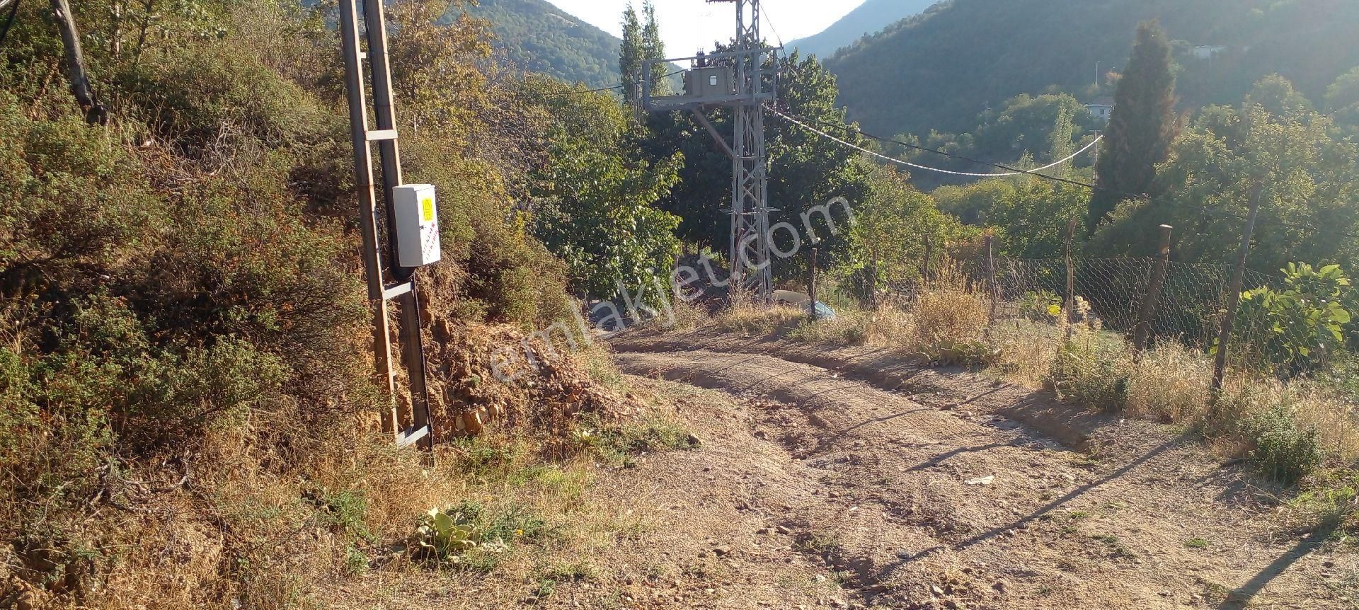Mor Çiçek Emlak Tire Yamandere Satılık Bahçe - Görsel 2