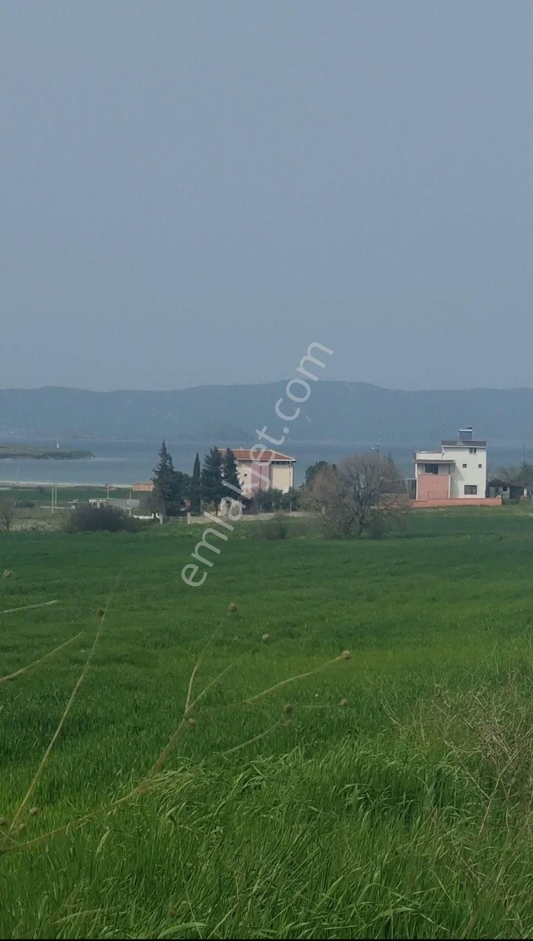 Gelibolu Bolayır Köyü (Gazi Süleyman Paşa) Satılık Konut İmarlı Kısa Süreliğine Acil Satılık.gelibolu Bolayır Da Tarlamız 11.536m2