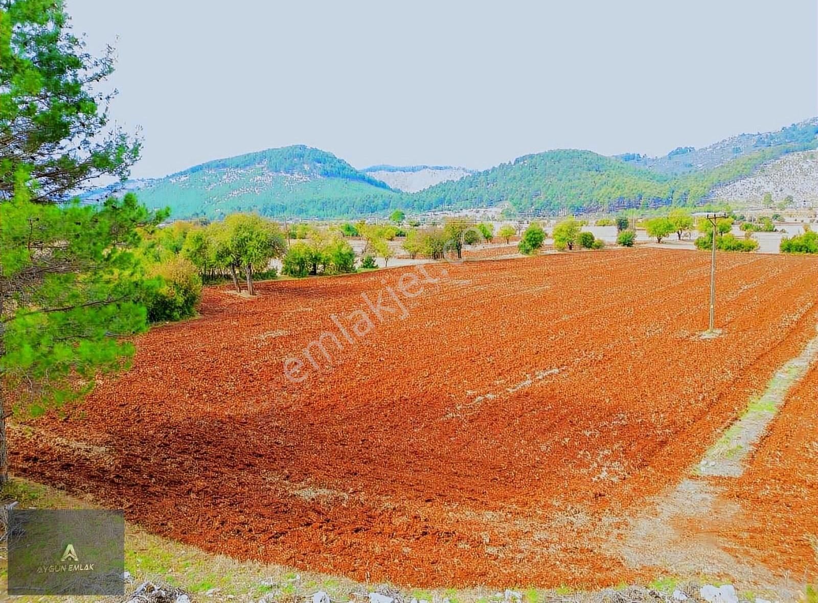 Bucak Karaot Köyü (Köyyatağı) Satılık Tarla Burdur Bucak Karaot'da Satılık 11000 M2 Satılık Tarla