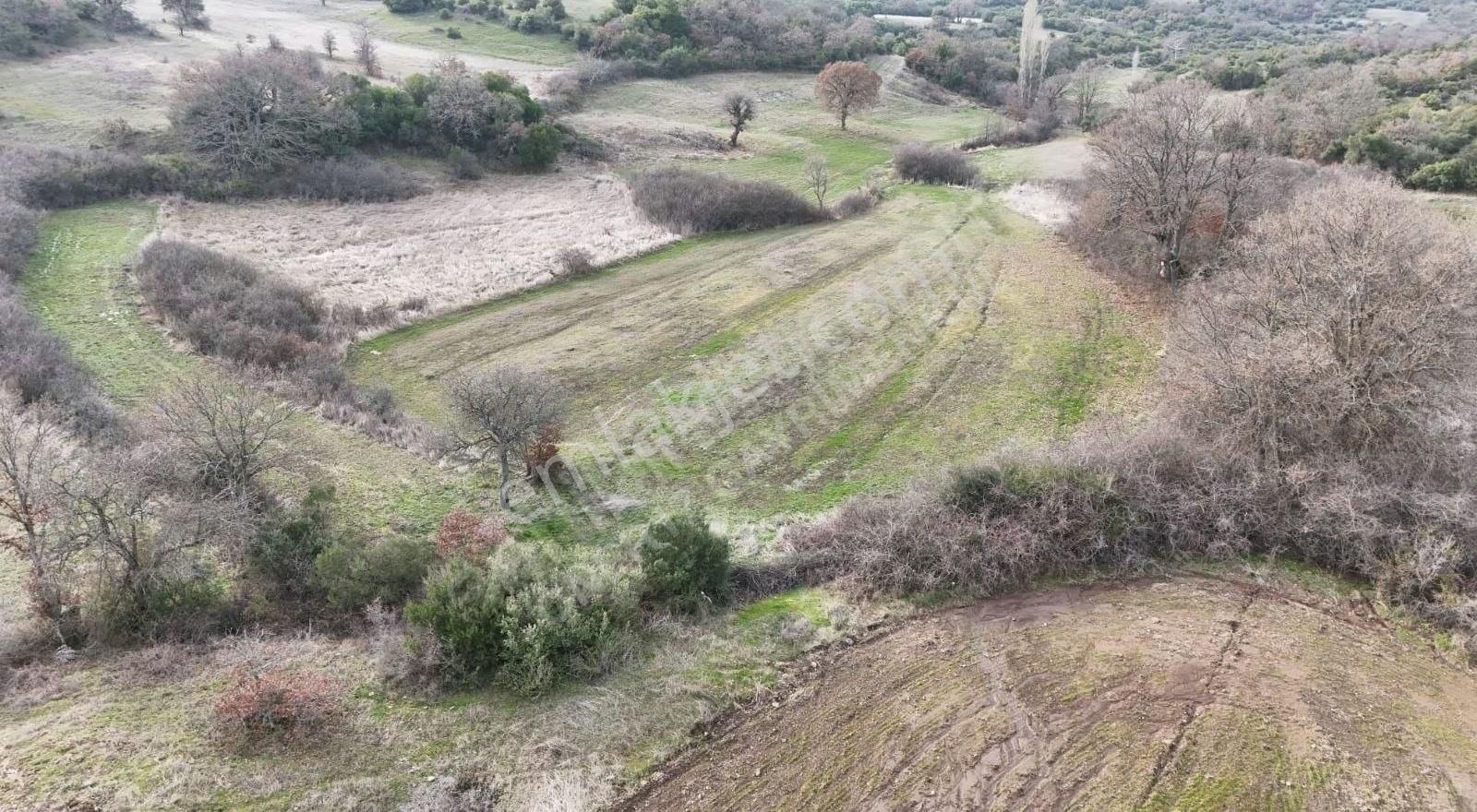 Lapseki Kırcalar Köyü Satılık Bağ & Bahçe Çanakkale Merkez Lapseki Kırcalar Köyü Satılık Hobi Bahçesi