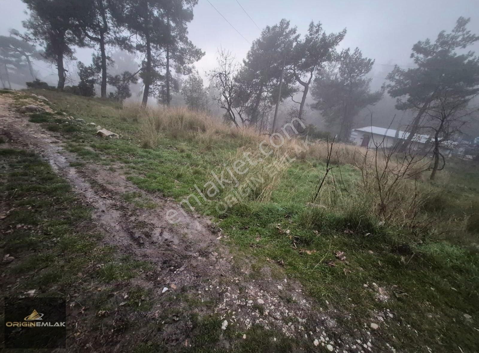 Kaş İslamlar Satılık Tarla İslamlar'da; Eski Ev Abonikleri İle 1950 M2.acil Satılık Arazi