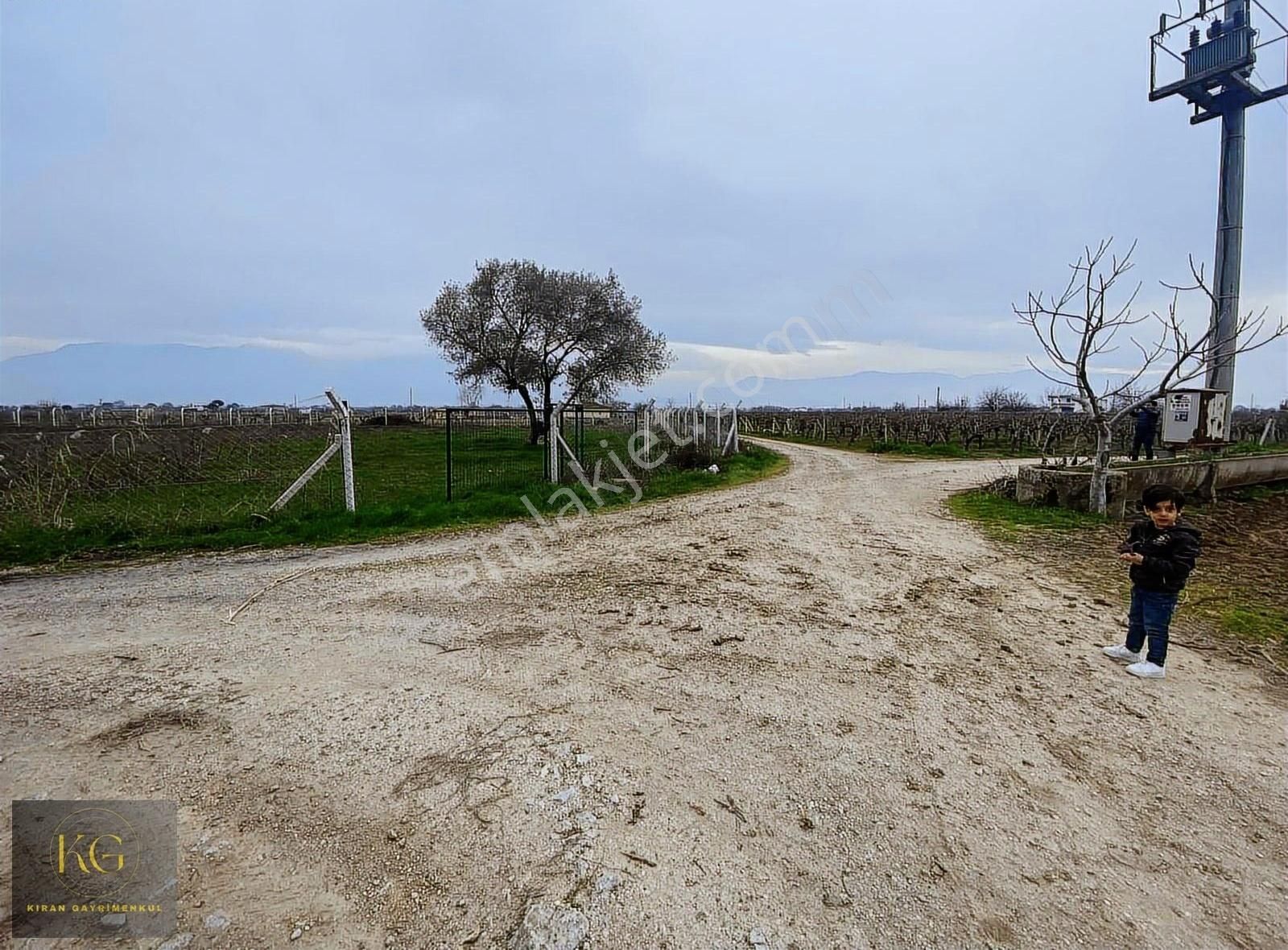 Yunusemre Muradiye Satılık Tarla Manisa Yunusemre Muradiye Mah Yerleşimin İçinde 2800 Metre Tarla