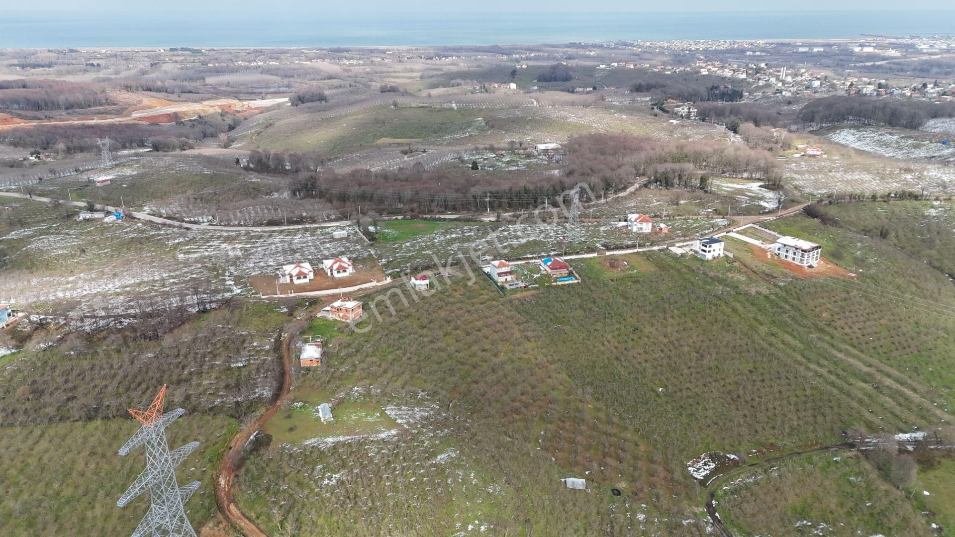 Karasu Manavpınarı Satılık Tarla Re/max Mavi'den Satılık 5400 M2 Yerleşim Yerine Yakın Fındıklık