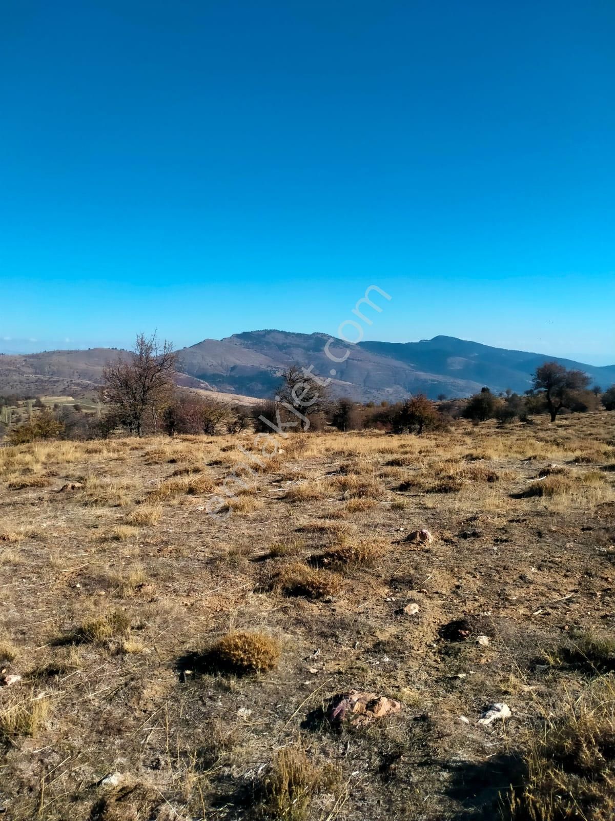 Karacasu Esençay Satılık Tarla Aydın Karacasu Esençay Mahallesinde Satılık 2 Parsel Tarla