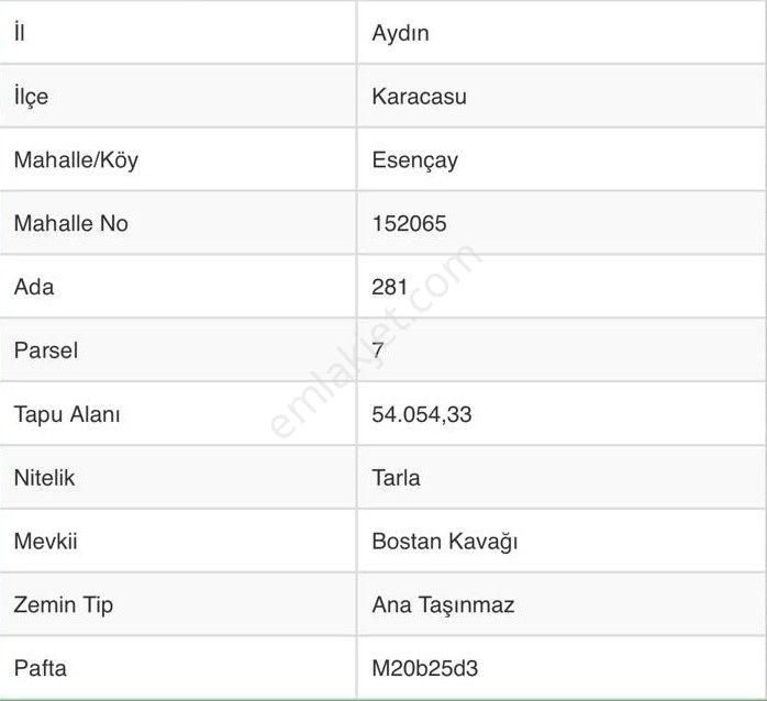 Aydın Karacasu Esençay Mahallesinde Satılık 2 Parsel Tarla - Görsel 24