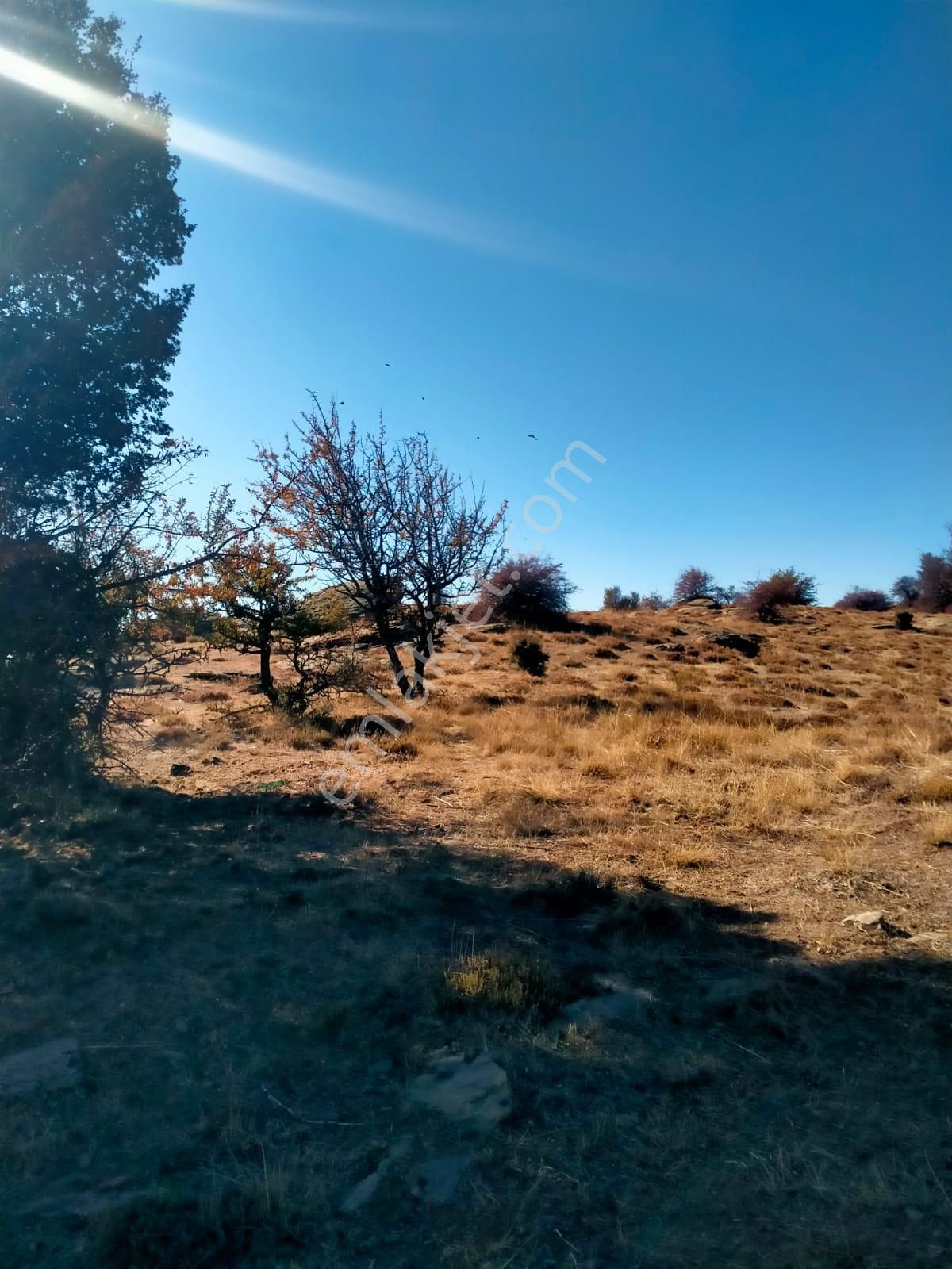 Aydın Karacasu Esençay Mahallesinde Satılık 2 Parsel Tarla - Görsel 12
