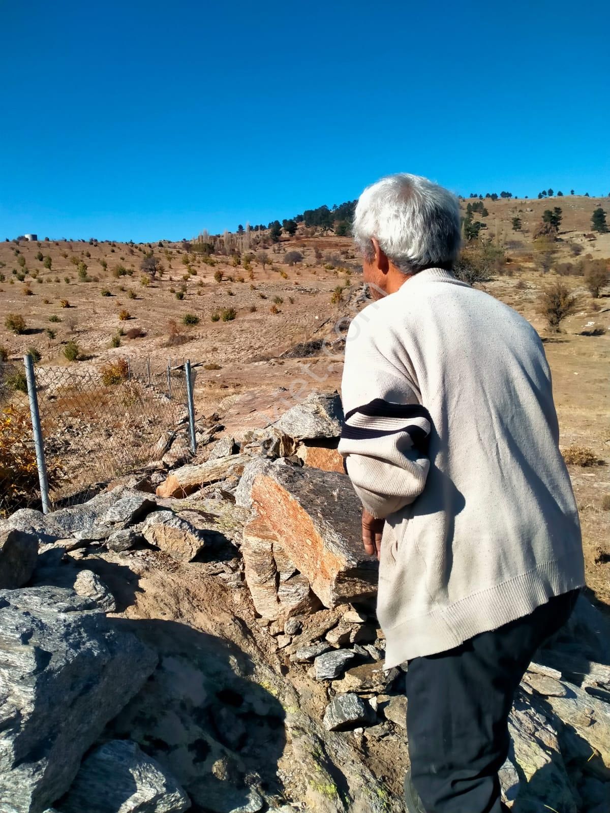 Aydın Karacasu Esençay Mahallesinde Satılık 2 Parsel Tarla - Görsel 3