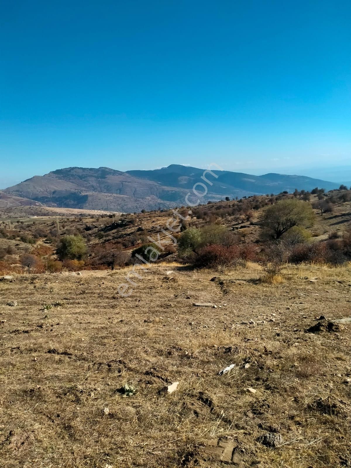 Aydın Karacasu Esençay Mahallesinde Satılık 2 Parsel Tarla - Görsel 11