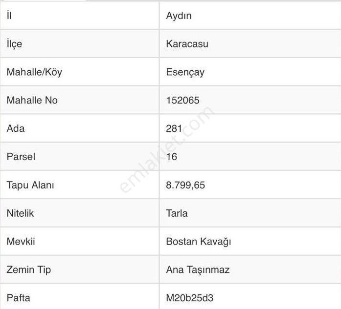 Aydın Karacasu Esençay Mahallesinde Satılık 2 Parsel Tarla - Görsel 27