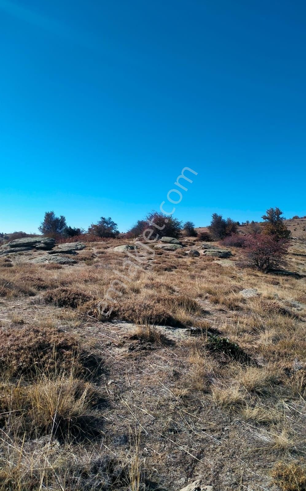 Aydın Karacasu Esençay Mahallesinde Satılık 2 Parsel Tarla - Görsel 19
