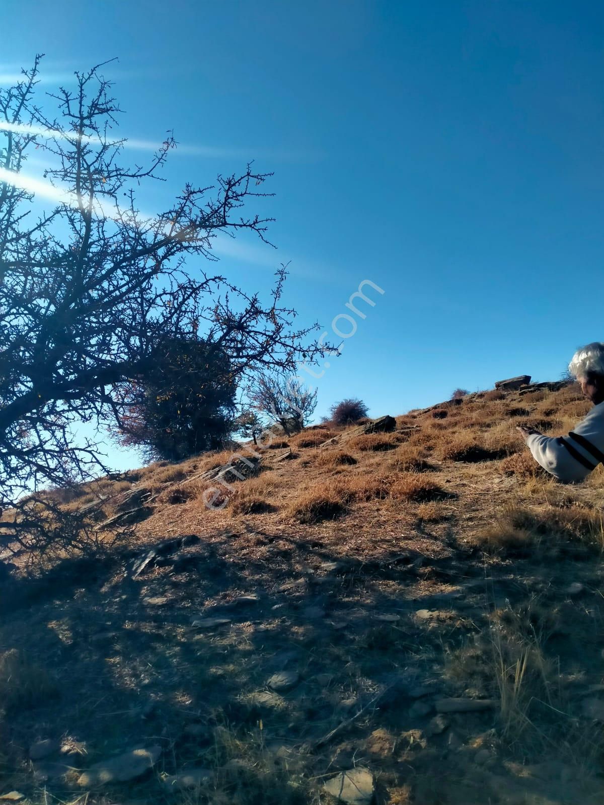 Aydın Karacasu Esençay Mahallesinde Satılık 2 Parsel Tarla - Görsel 8