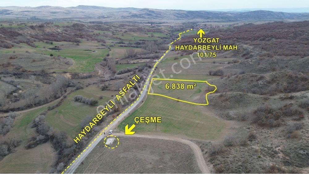 Yozgat Merkez Haydarbeyli Köyü Satılık Tarla 6.838 M² / Yozgat / Merkez / Haydarbeyli / Tarla