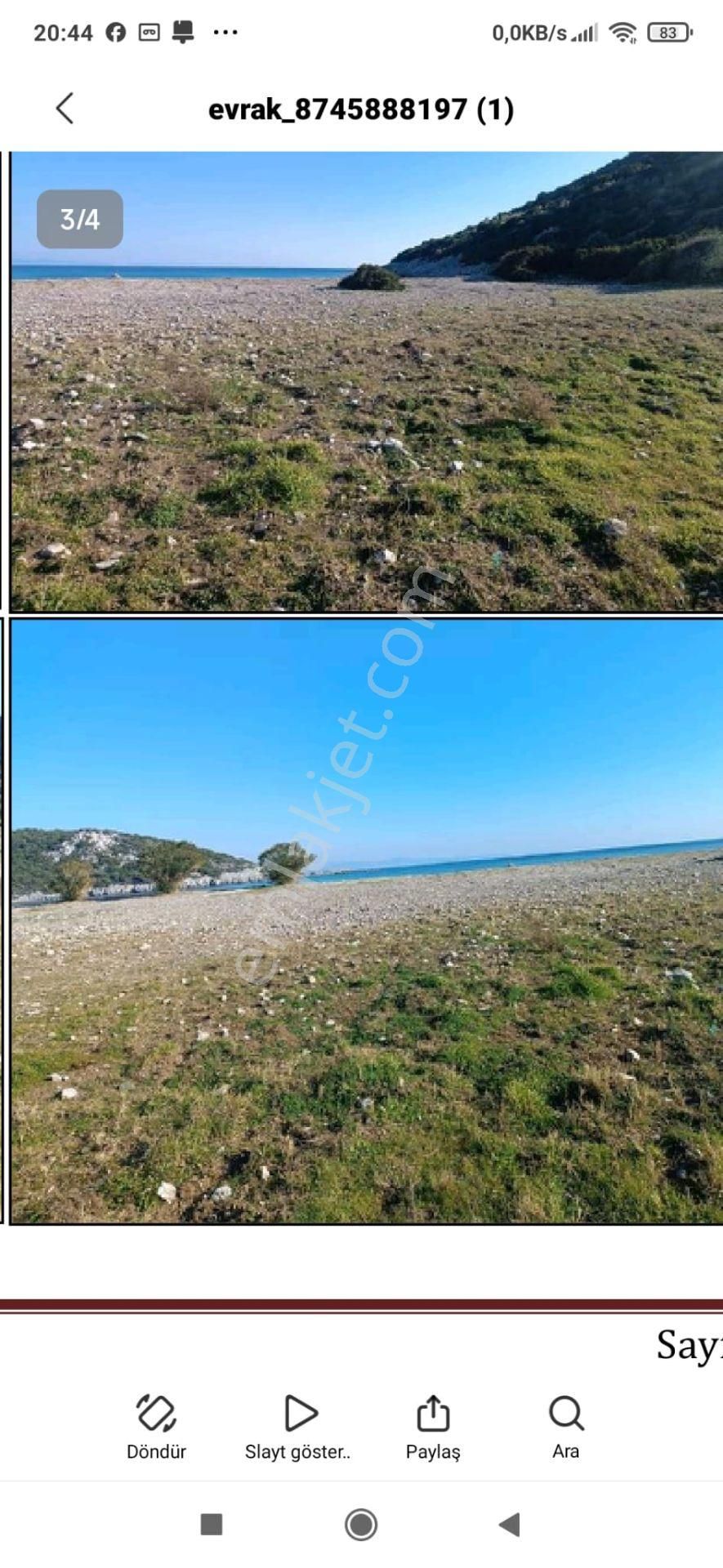 Koyuncu Group Tan Urla Yagcılar Mah Denize Sıfır Satılık Zeytınlık - Görsel 3