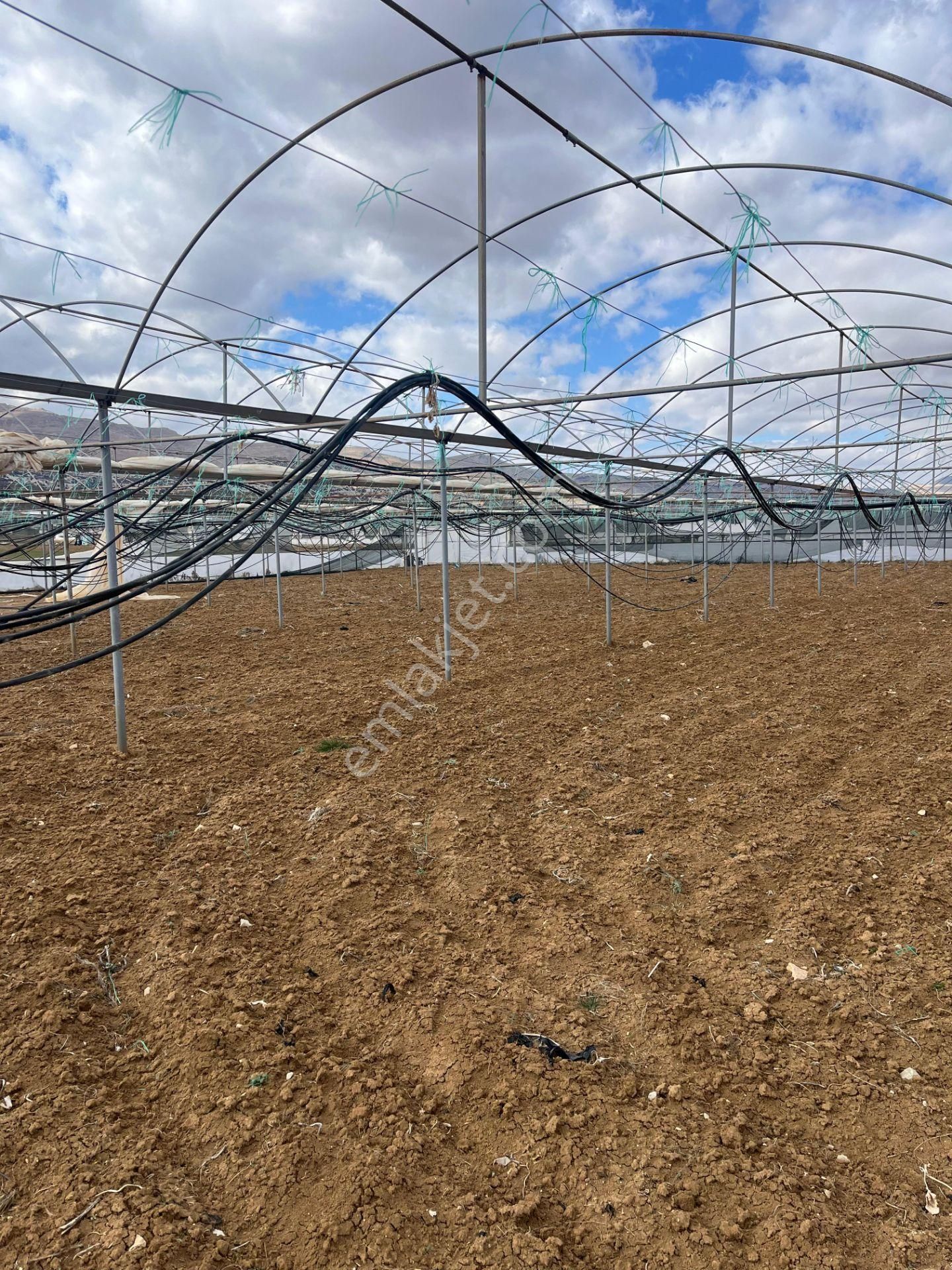 Antalya Elmalı Gölova Mah'de Kooperatif Suyu Bulunan 2.056m2 Satılık Kapalı Sera - Görsel 12