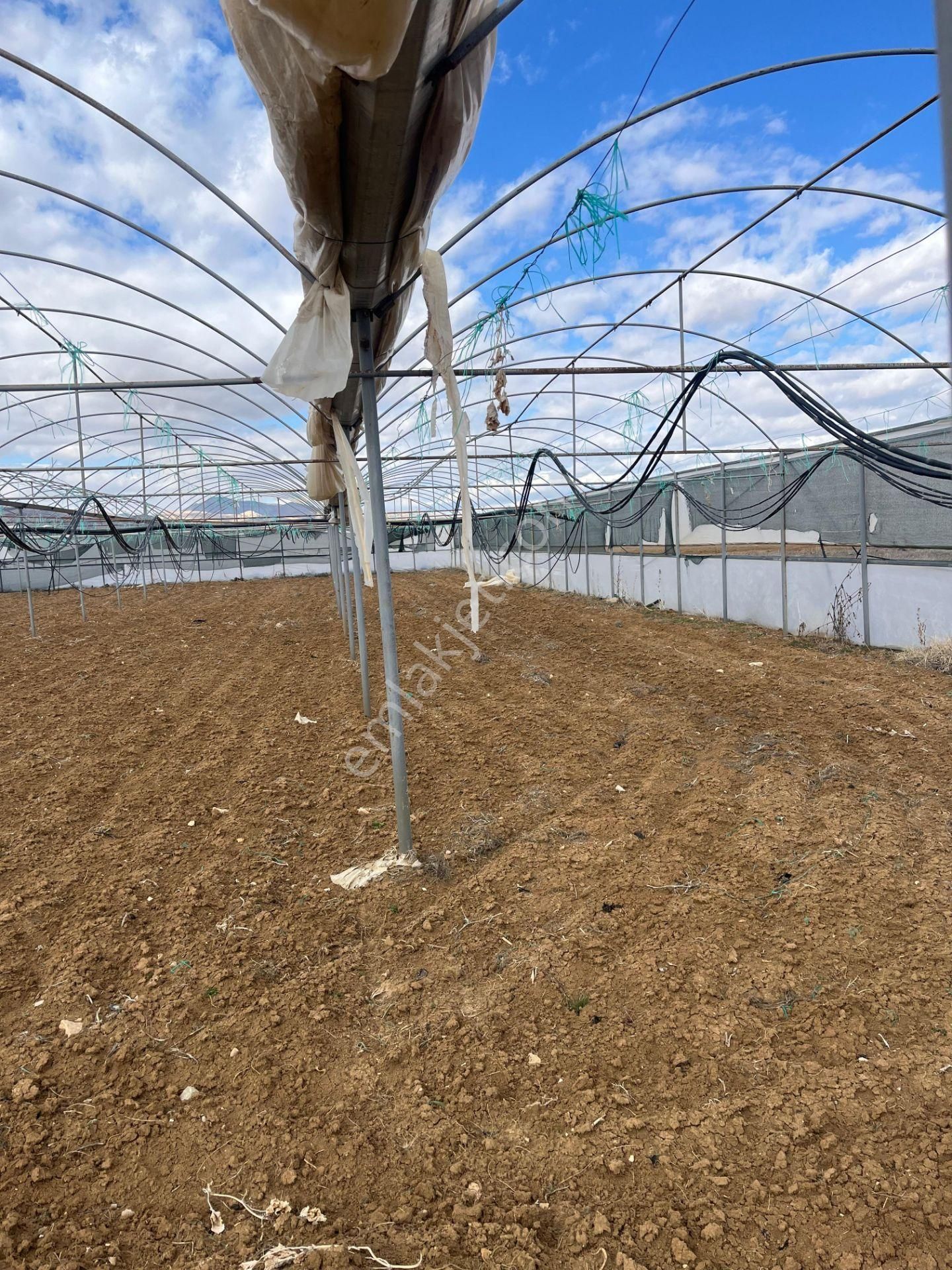 Antalya Elmalı Gölova Mah'de Kooperatif Suyu Bulunan 2.056m2 Satılık Kapalı Sera - Görsel 18