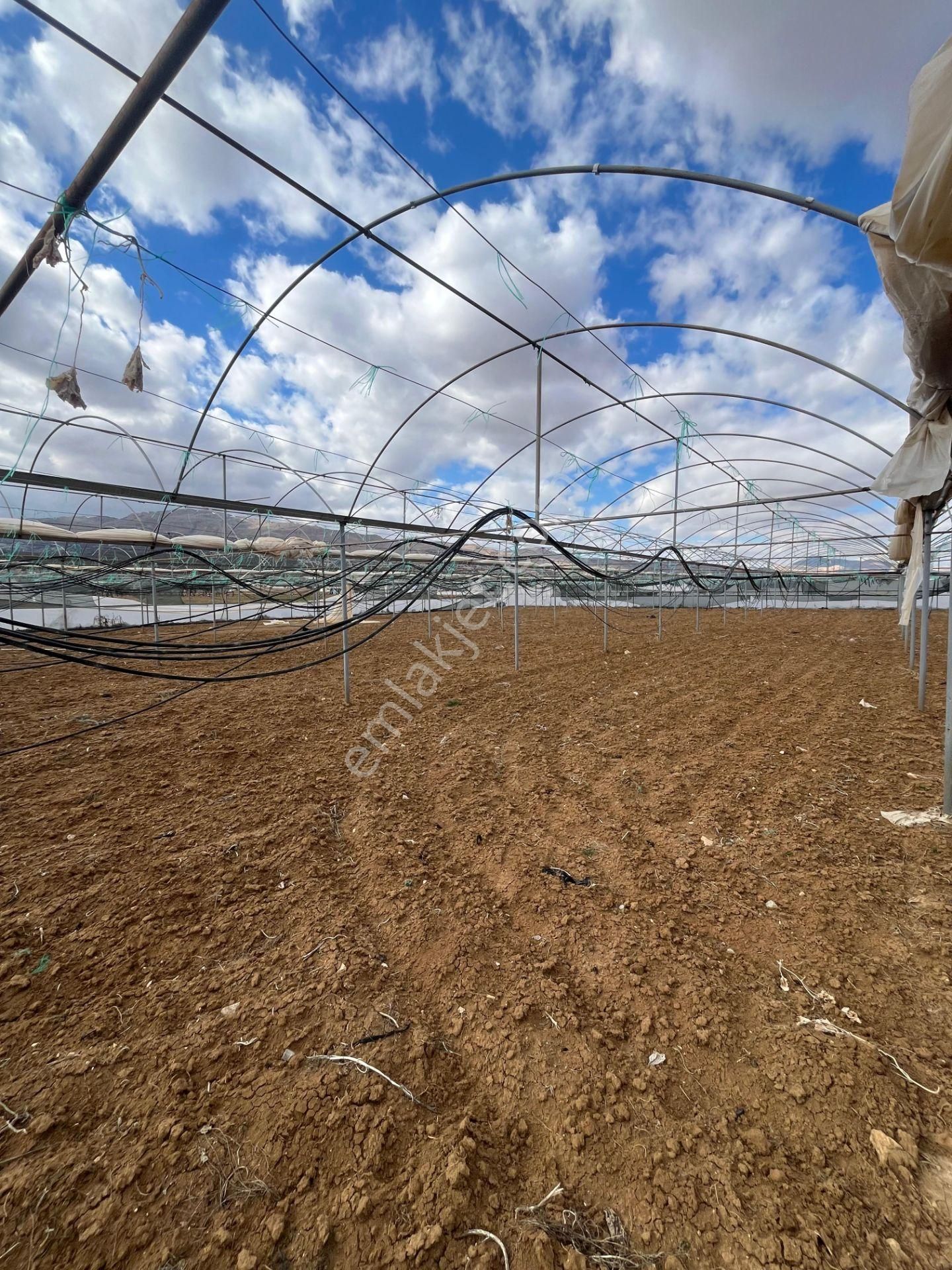 Antalya Elmalı Gölova Mah'de Kooperatif Suyu Bulunan 2.056m2 Satılık Kapalı Sera - Görsel 15