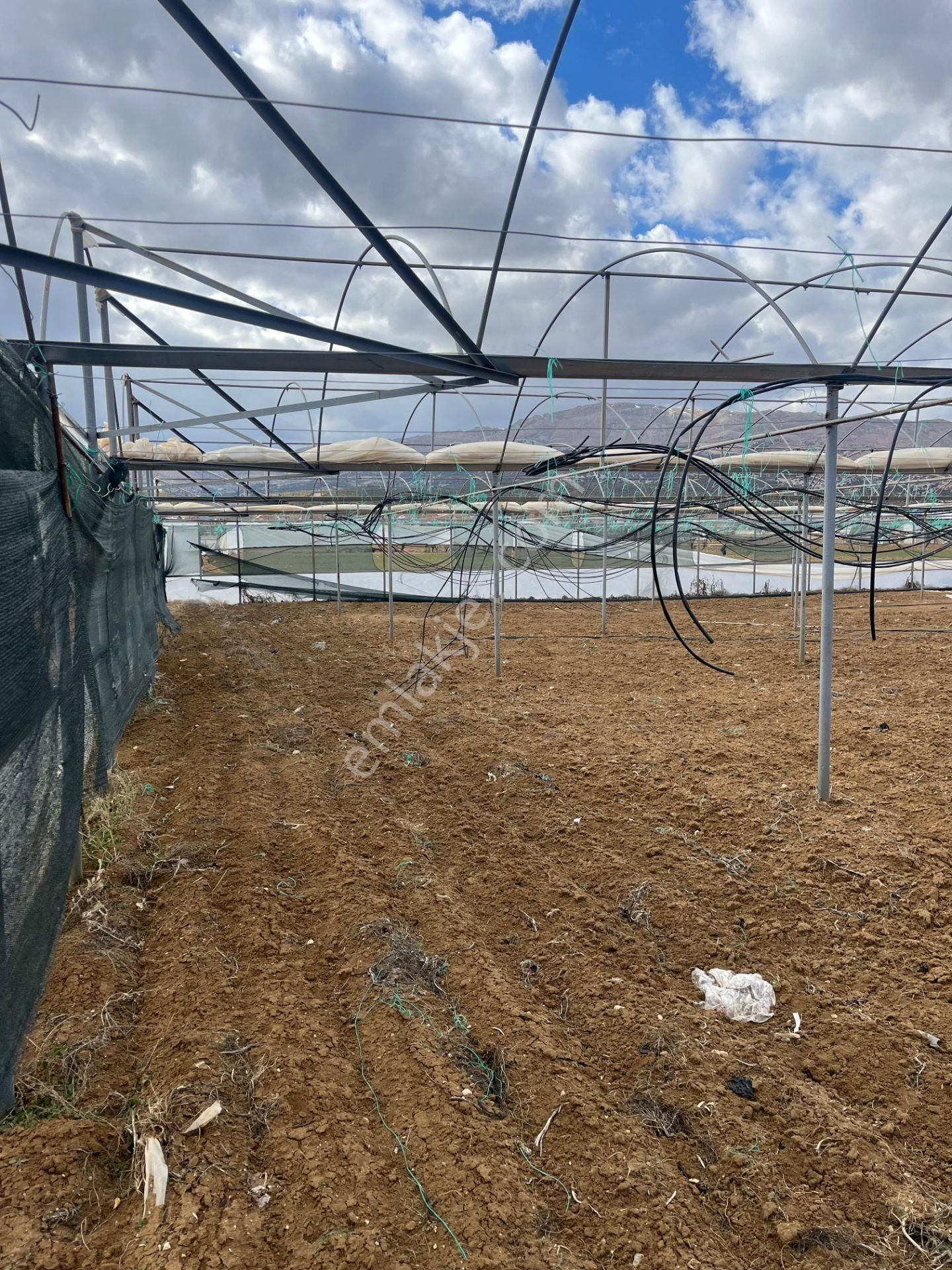 Antalya Elmalı Gölova Mah'de Kooperatif Suyu Bulunan 2.056m2 Satılık Kapalı Sera - Görsel 6