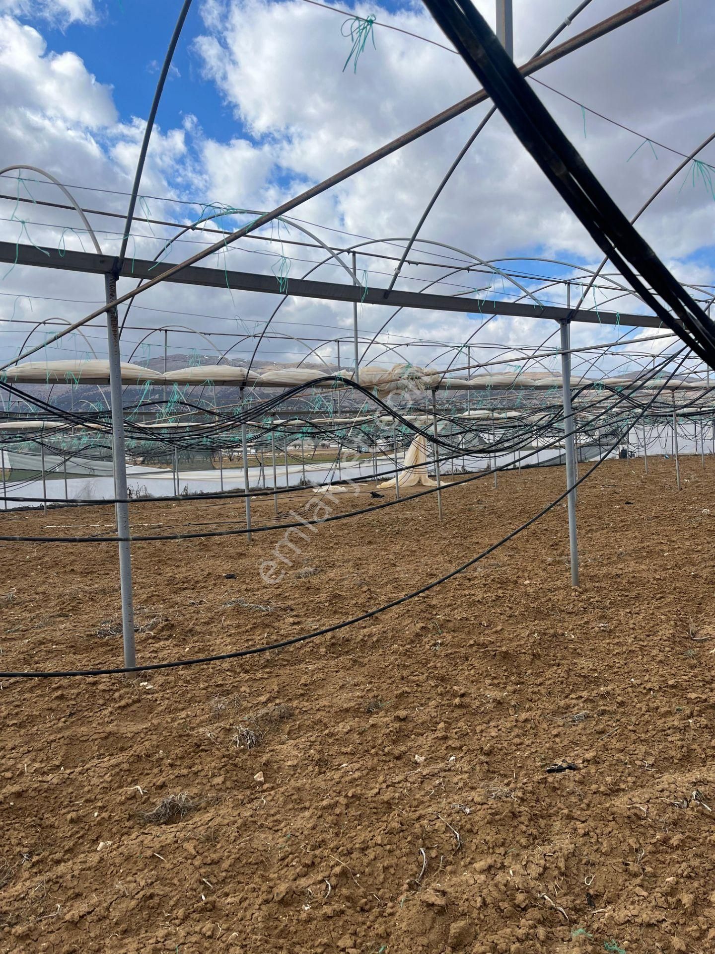 Antalya Elmalı Gölova Mah'de Kooperatif Suyu Bulunan 2.056m2 Satılık Kapalı Sera - Görsel 20