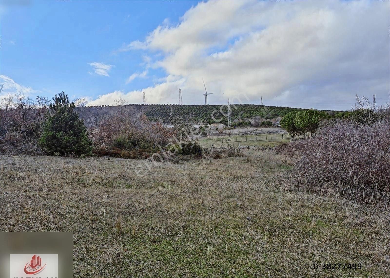 Ay Emlak'tan Armutlu Mecidiyeköy De Köyiçi Mevkii 4.500 M2 Tarla - Görsel 4
