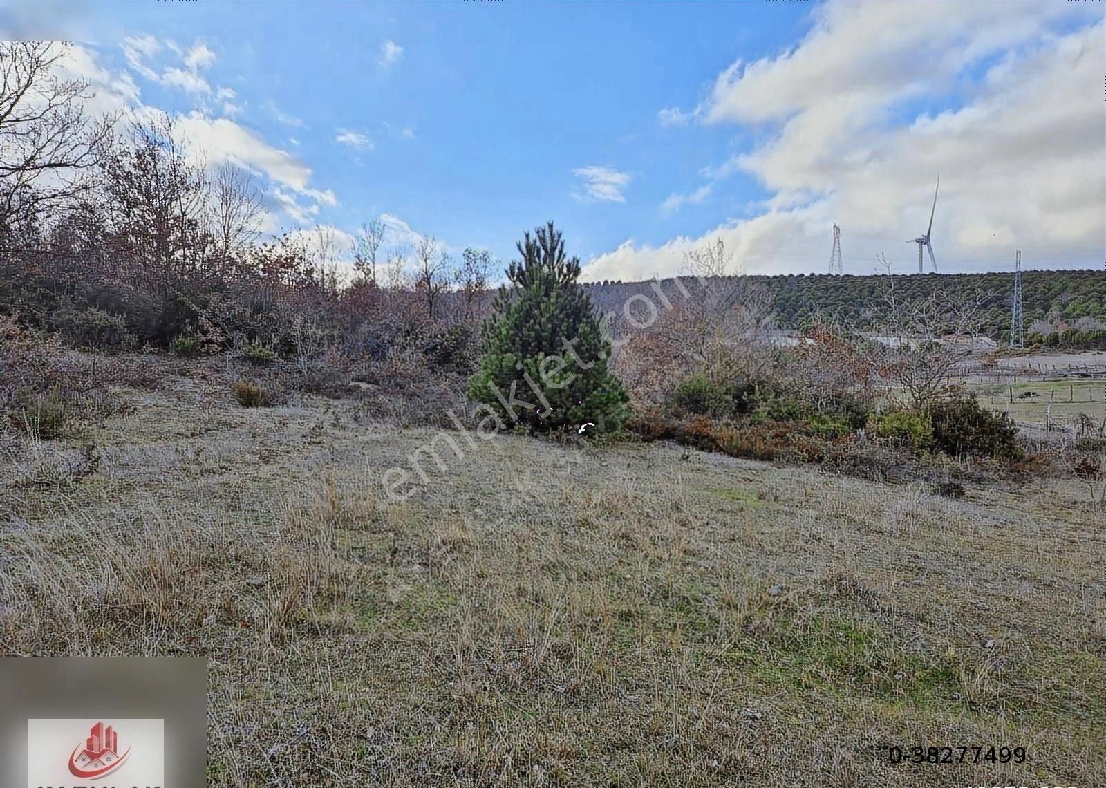 Ay Emlak'tan Armutlu Mecidiyeköy De Köyiçi Mevkii 4.500 M2 Tarla - Görsel 19
