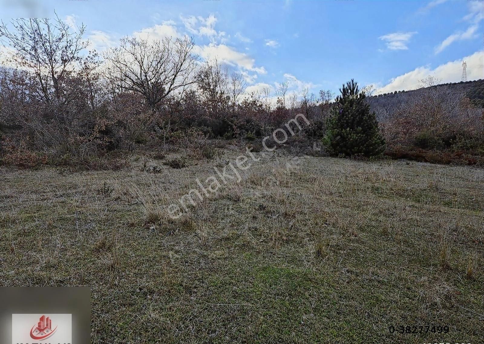 Ay Emlak'tan Armutlu Mecidiyeköy De Köyiçi Mevkii 4.500 M2 Tarla - Görsel 5