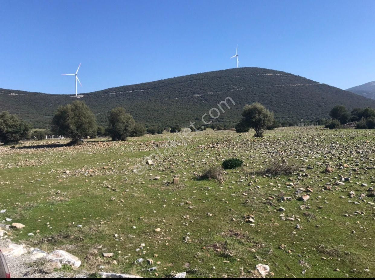 Didim Ak Yeniköy Satılık Konut İmarlı Didim 2.balovada Fırsat Villa Arsası