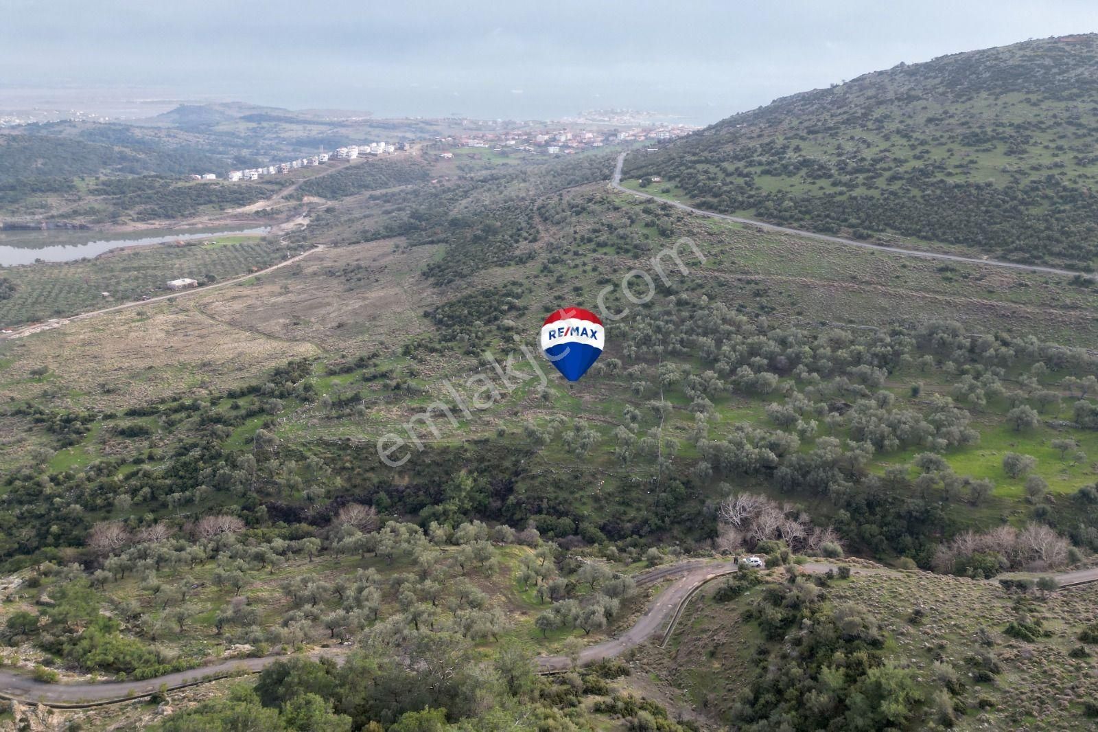 Dikili Çandarlı Satılık Zeytinlik Çandarlı Yaylayurt Gölüne Yakın7.5 Dönüm Fırsat Zeytinlik