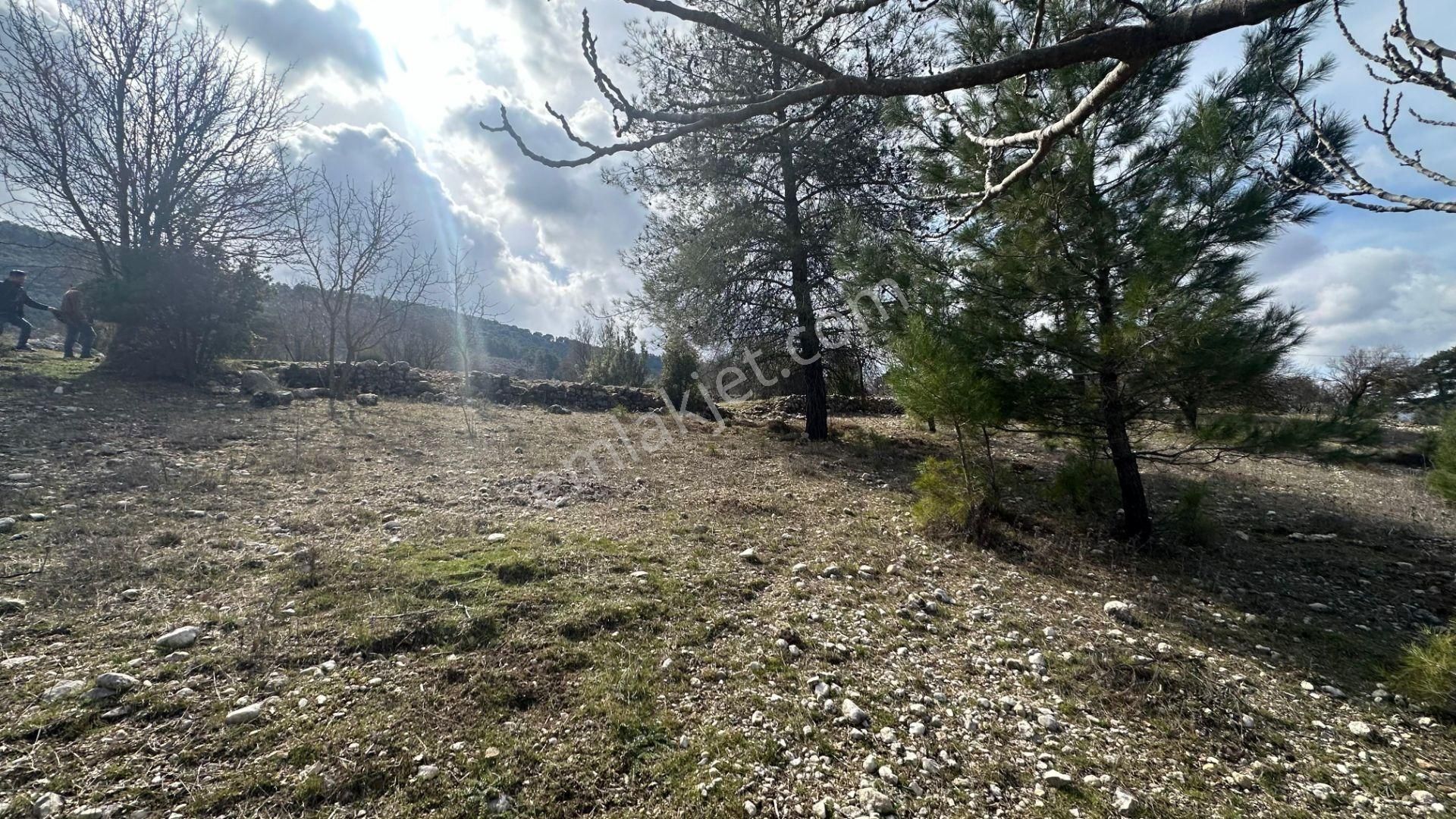 Kaş Hacıoğlan Satılık Müstakil Parsel Arazi - Görsel 7