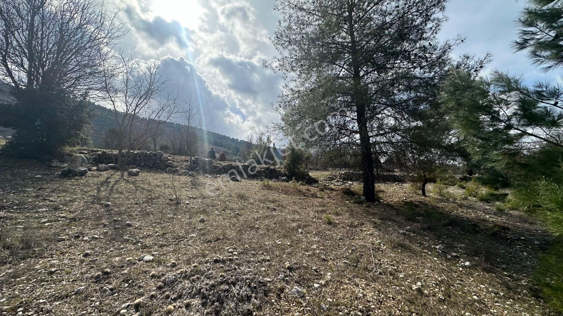 Kaş Hacıoğlan Satılık Müstakil Parsel Arazi - Görsel 8