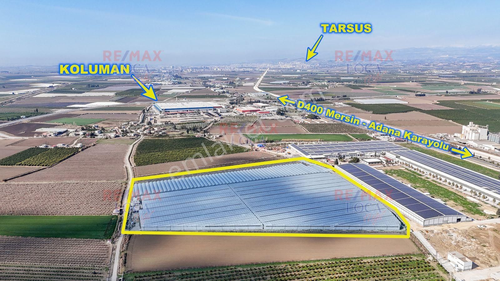 Tarsus Konaklar Satılık Bağ & Bahçe Remax Loca'dan 82.000m² Hazır Muz Serası