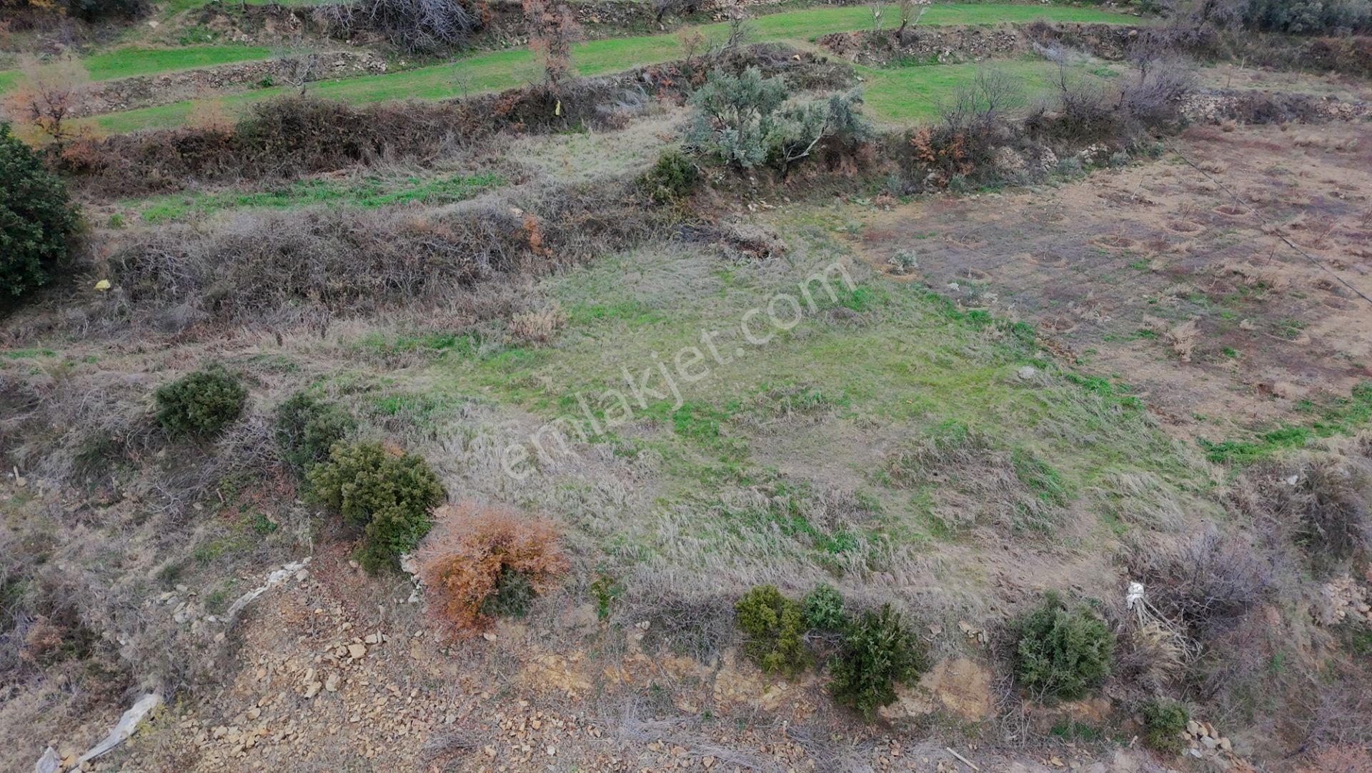 Gazipaşa Üçkonak Satılık Tarla Antalya Gazipaşa Üçkonak Köyünde Yatırımlık Tarla