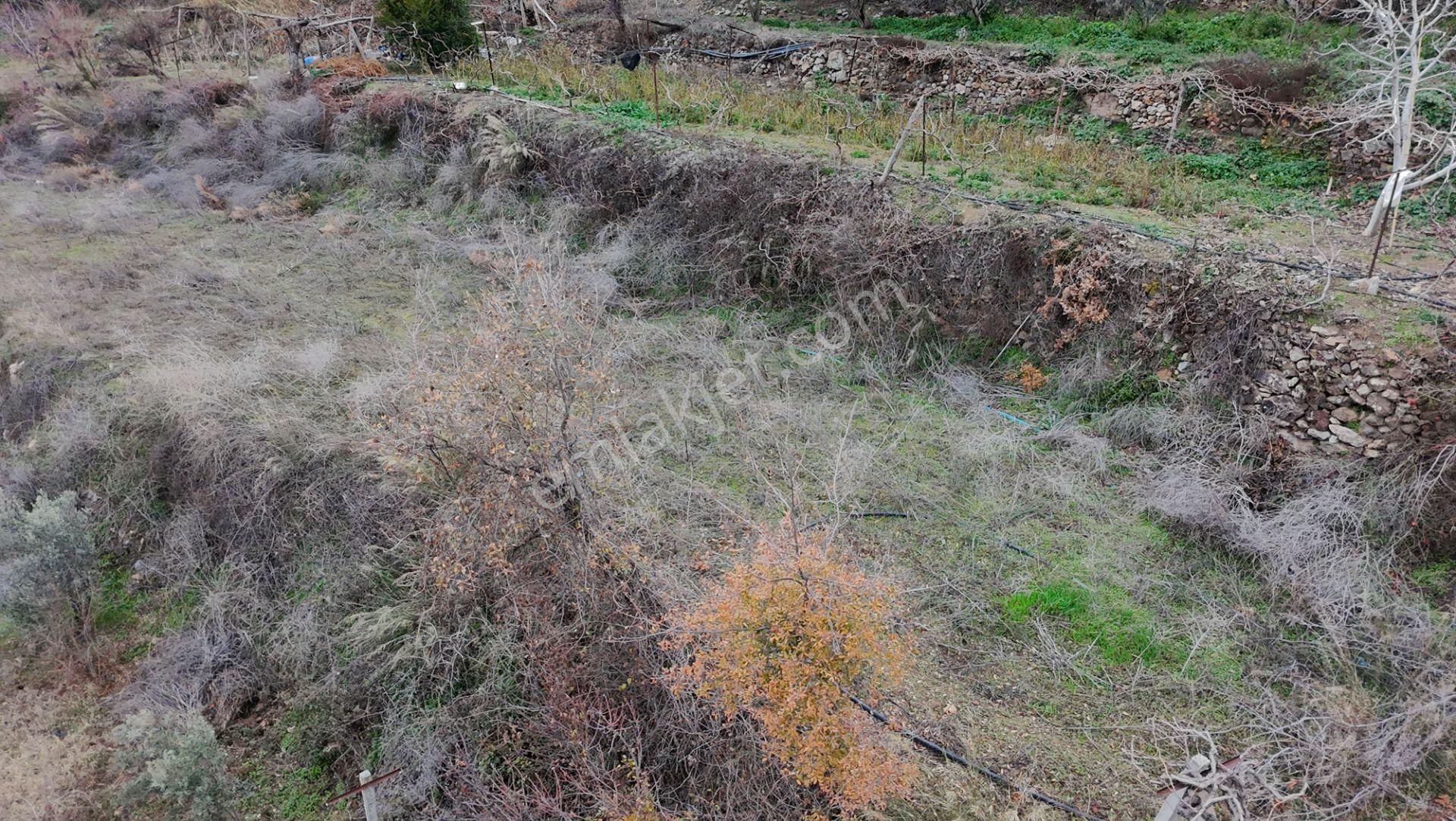 Gazipaşa Üçkonak Satılık Tarla Antalya Gazipaşa Üçkonak Köyünde Yerleşimde Fırsat Tarla