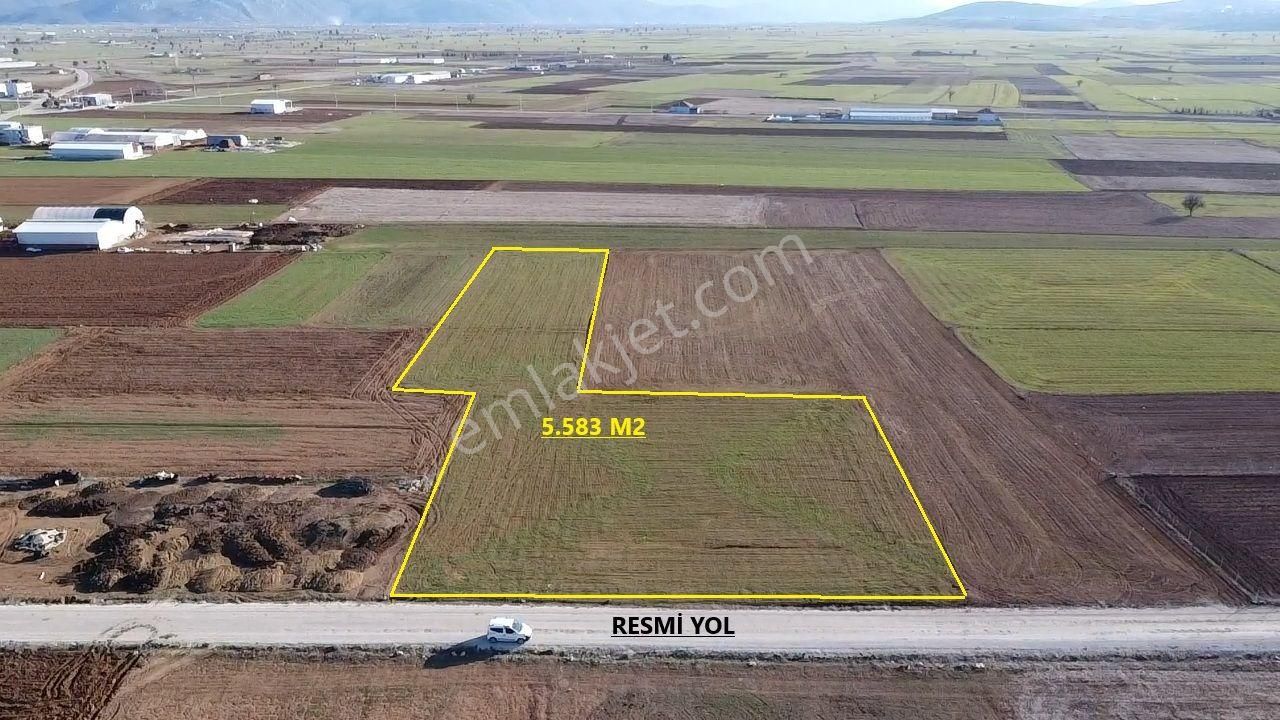 Korkuteli Büyükköy Satılık Tarla Antalya Korkuteli Büyükköy Mah. 5.500 M2 Tarla