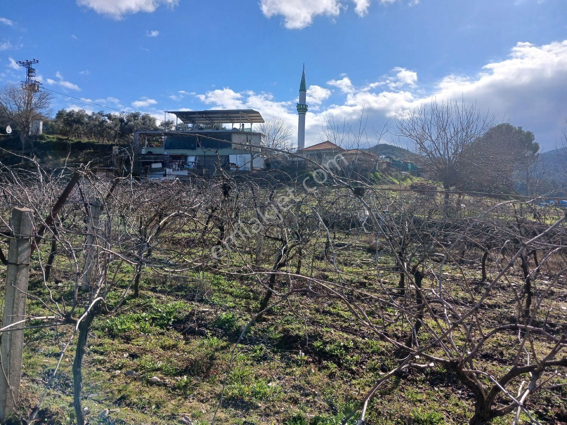 Ahmetli Dereköy Satılık Bağ & Bahçe Manisa Ahmetli Dereköy 2000m² Bahçe Satılık