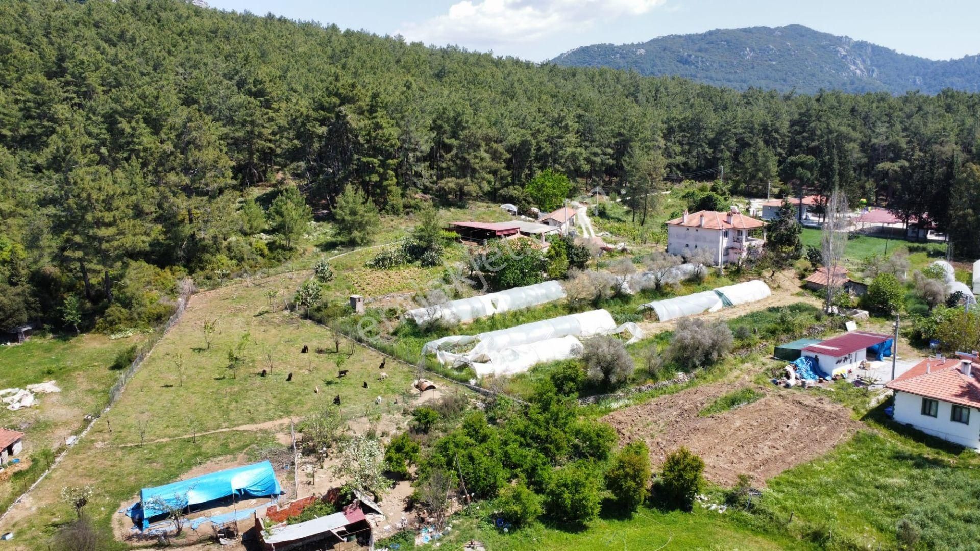 Marmaris Karaca Ovacıkta Köy Yoluna Cephe 888 M2 Muhteşem Arazi - Görsel 2