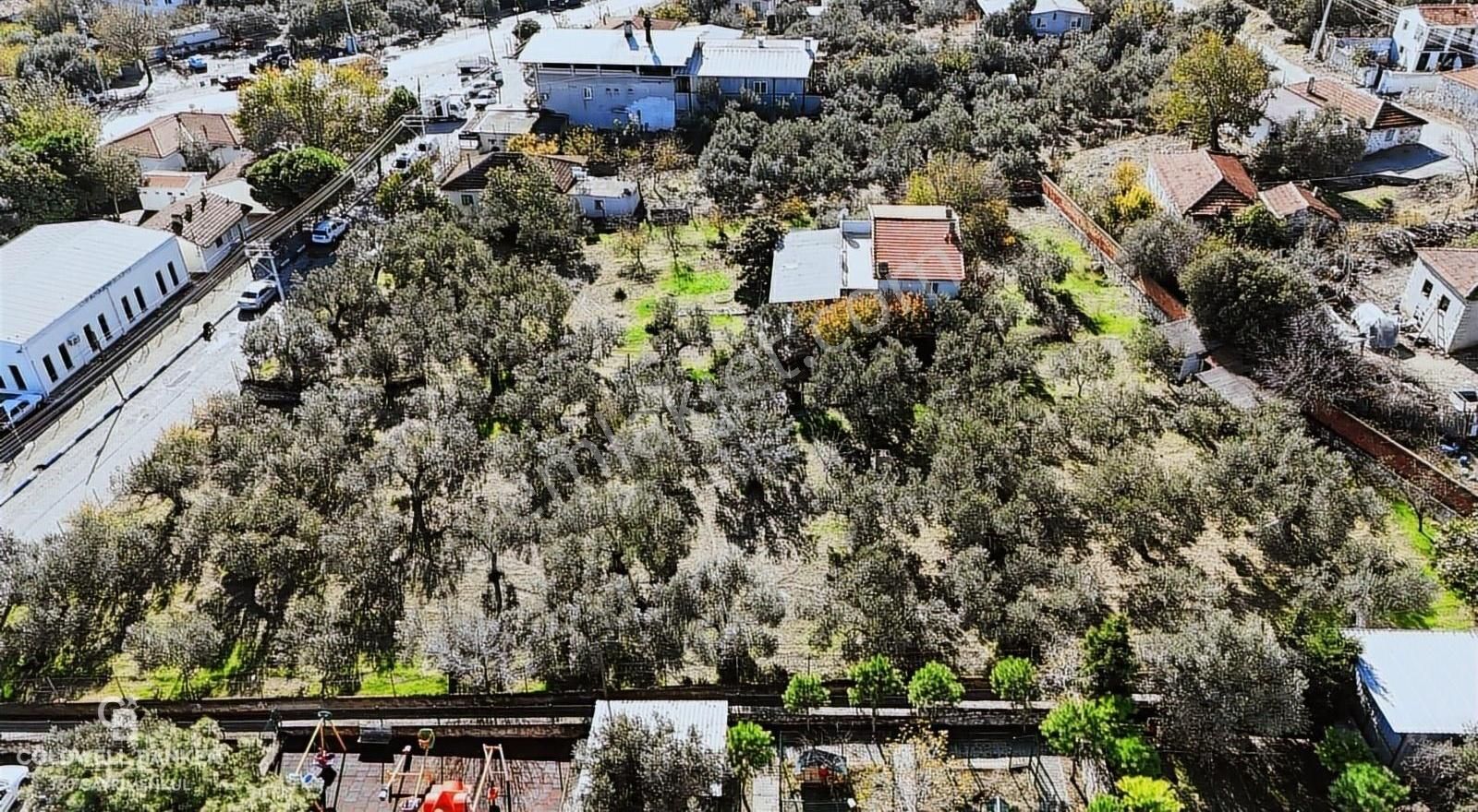 Foça Ilıpınar Satılık Ticari İmarlı Foça Ilıpınar'da Satılık Projesi Hazır Villa İmarlı Arsa