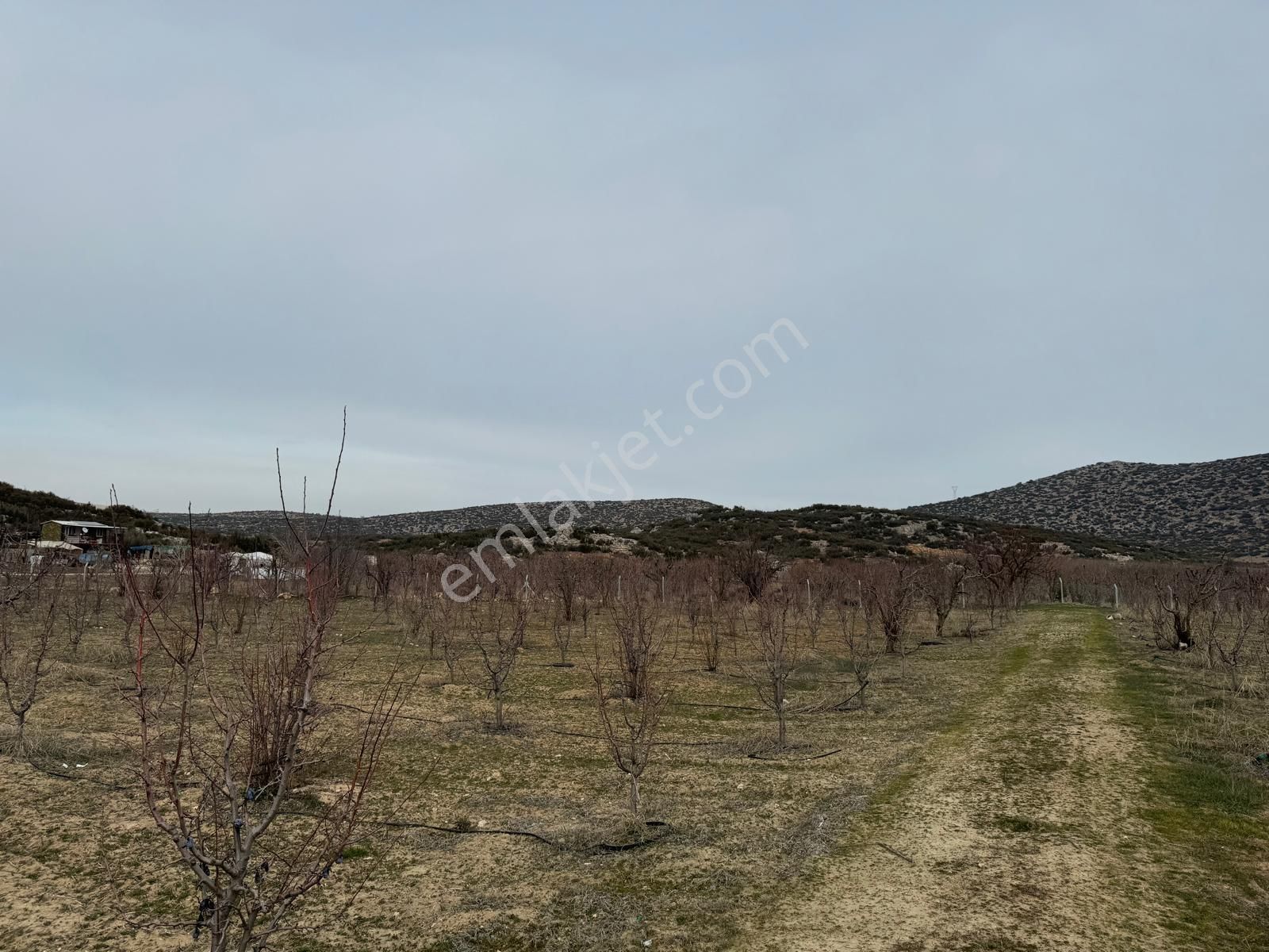 Korkuteli İmrahor Satılık Tarla Antalya Korkuteli İmrahorda Satılık 19318 M2 Satılık Bahçe,tarla