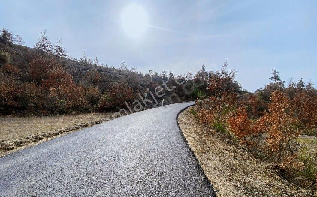 Geyve Çamlık Satılık Tarla Yetişen Alır..