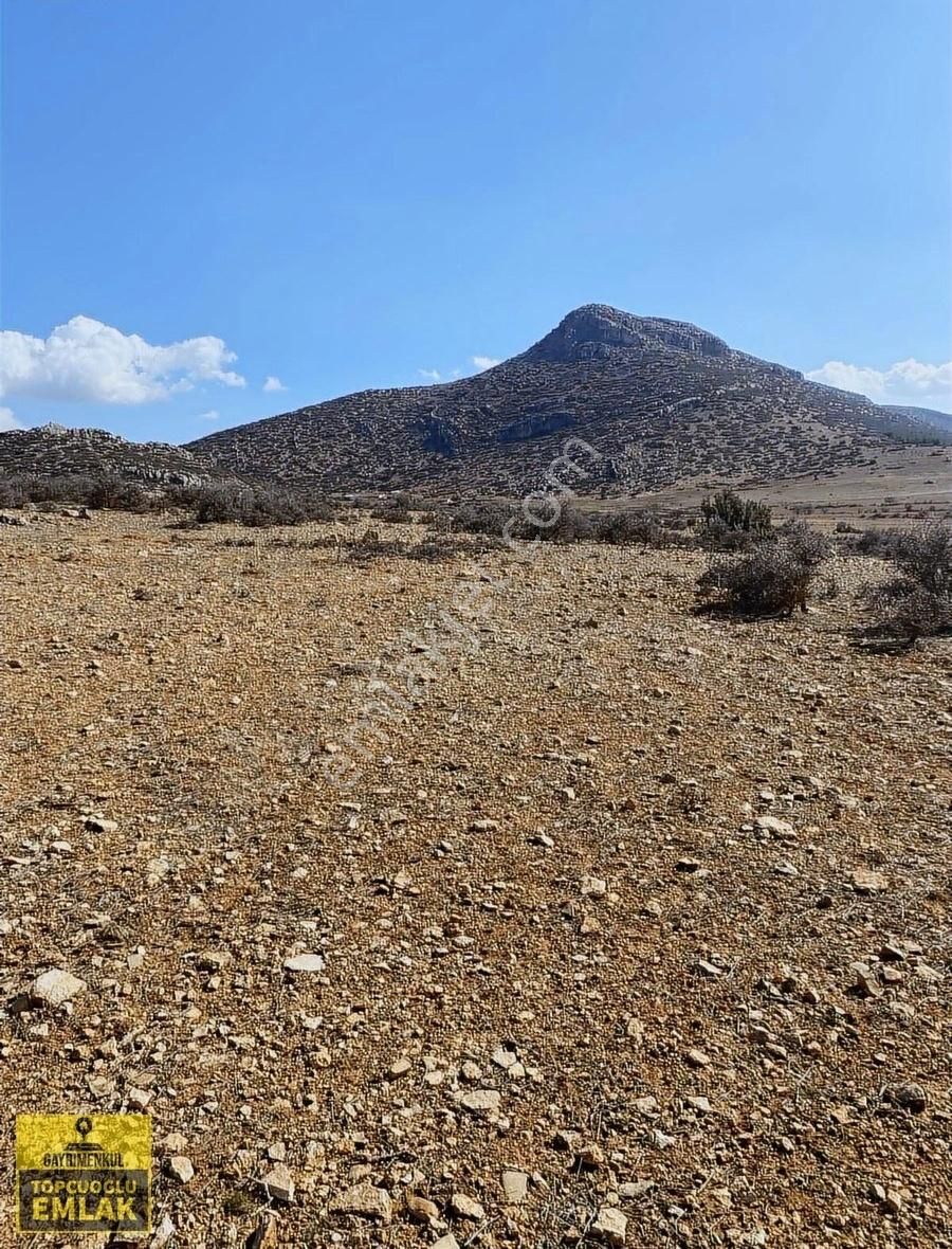 Korkuteli Bozovada.4020.metrekare - Görsel 8