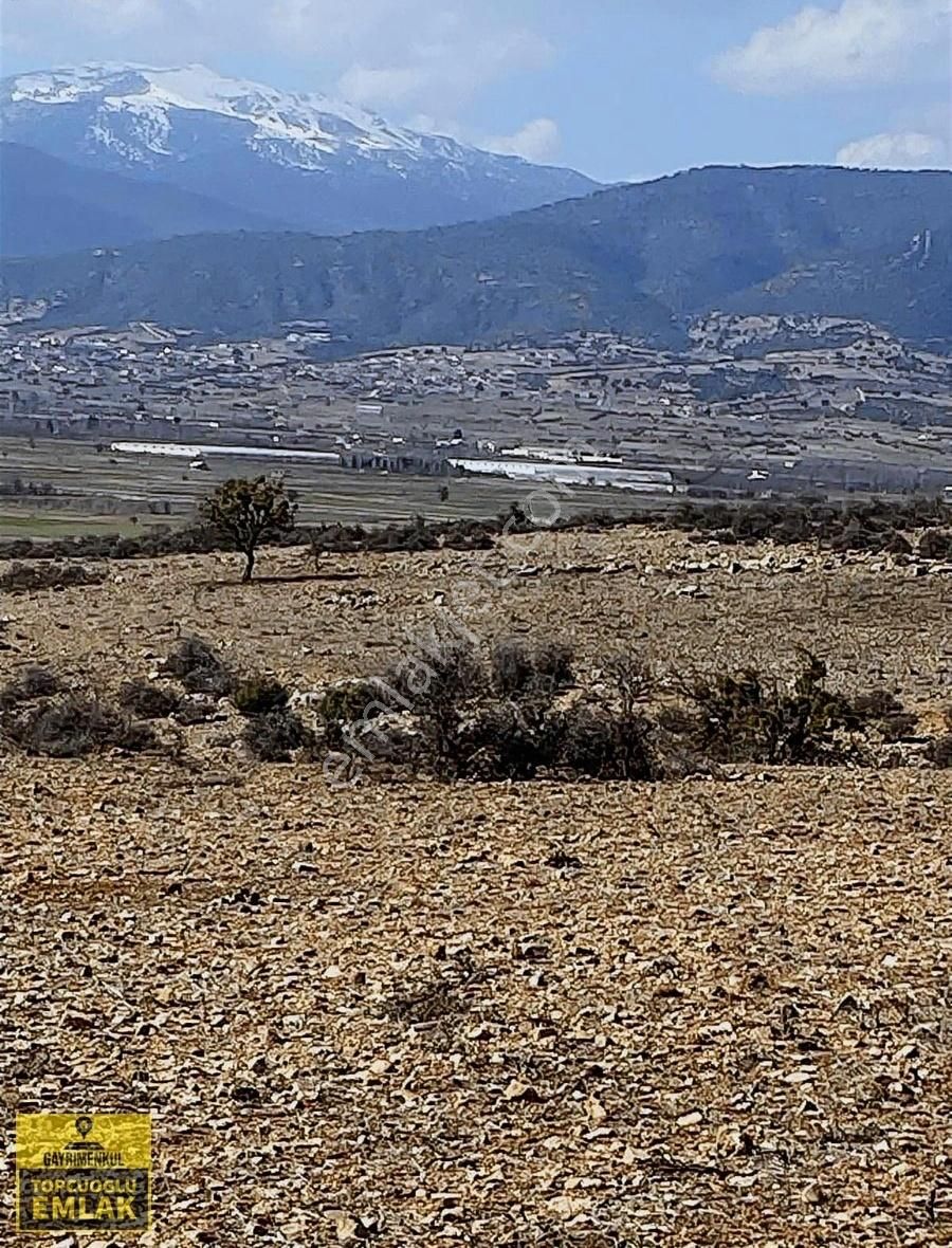 Korkuteli Bozovada.4020.metrekare - Görsel 2