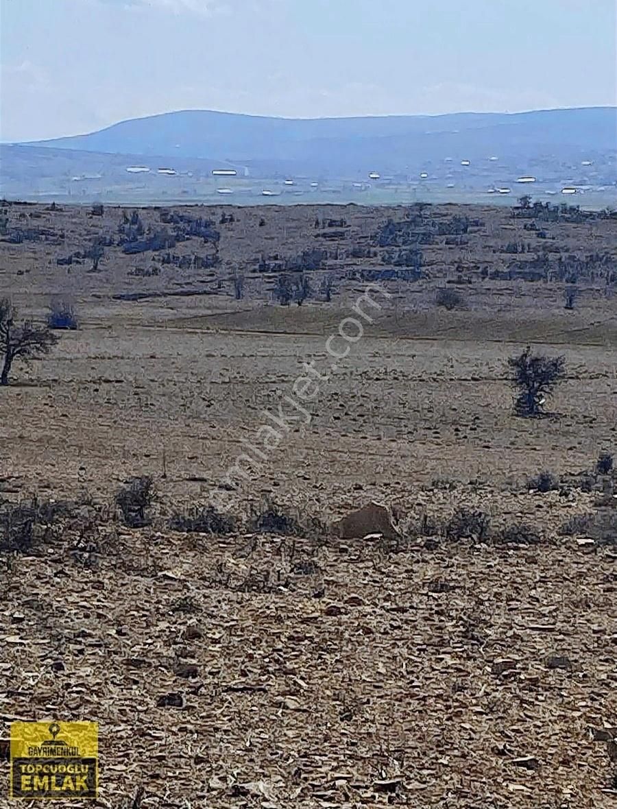 Korkuteli Bozovada.4020.metrekare - Görsel 6