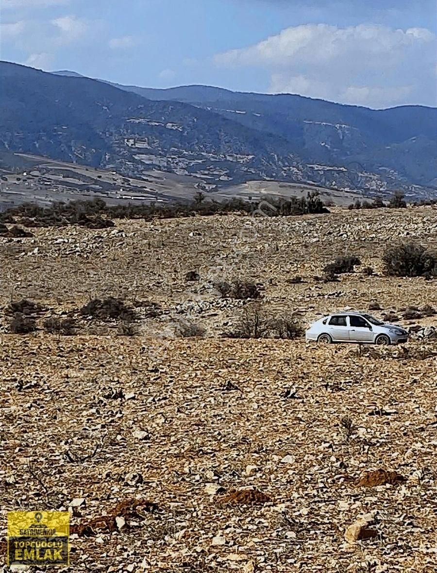 Korkuteli Bozovada.4020.metrekare - Görsel 3