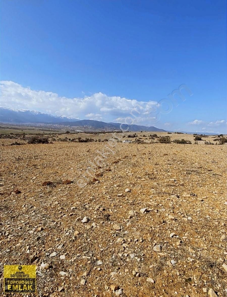 Korkuteli Bozovada.4020.metrekare - Görsel 4