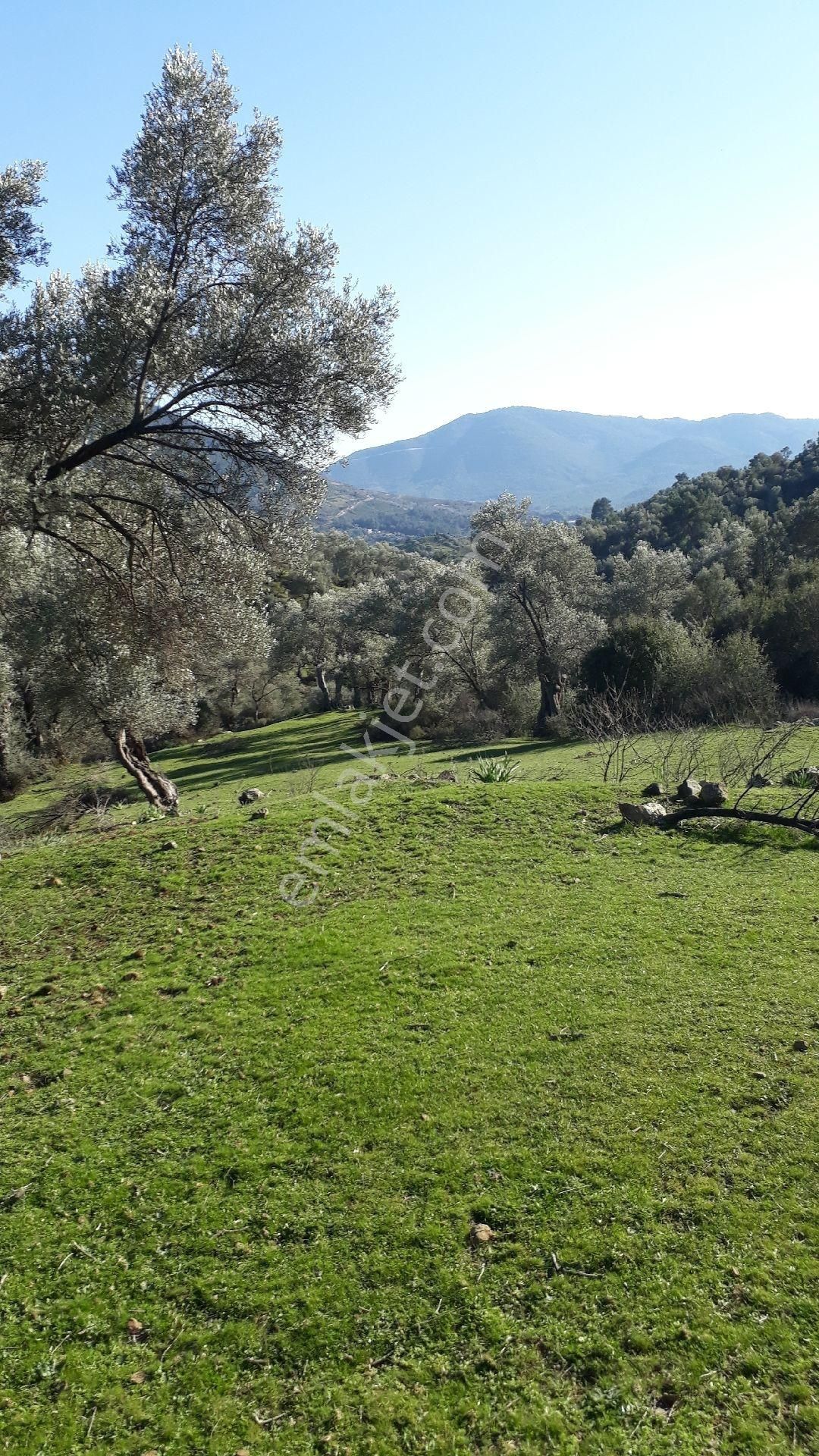 Seferihisar Orhanlı Tms Altı Mevkisinde 1850m2 Düz Tarla - Görsel 15