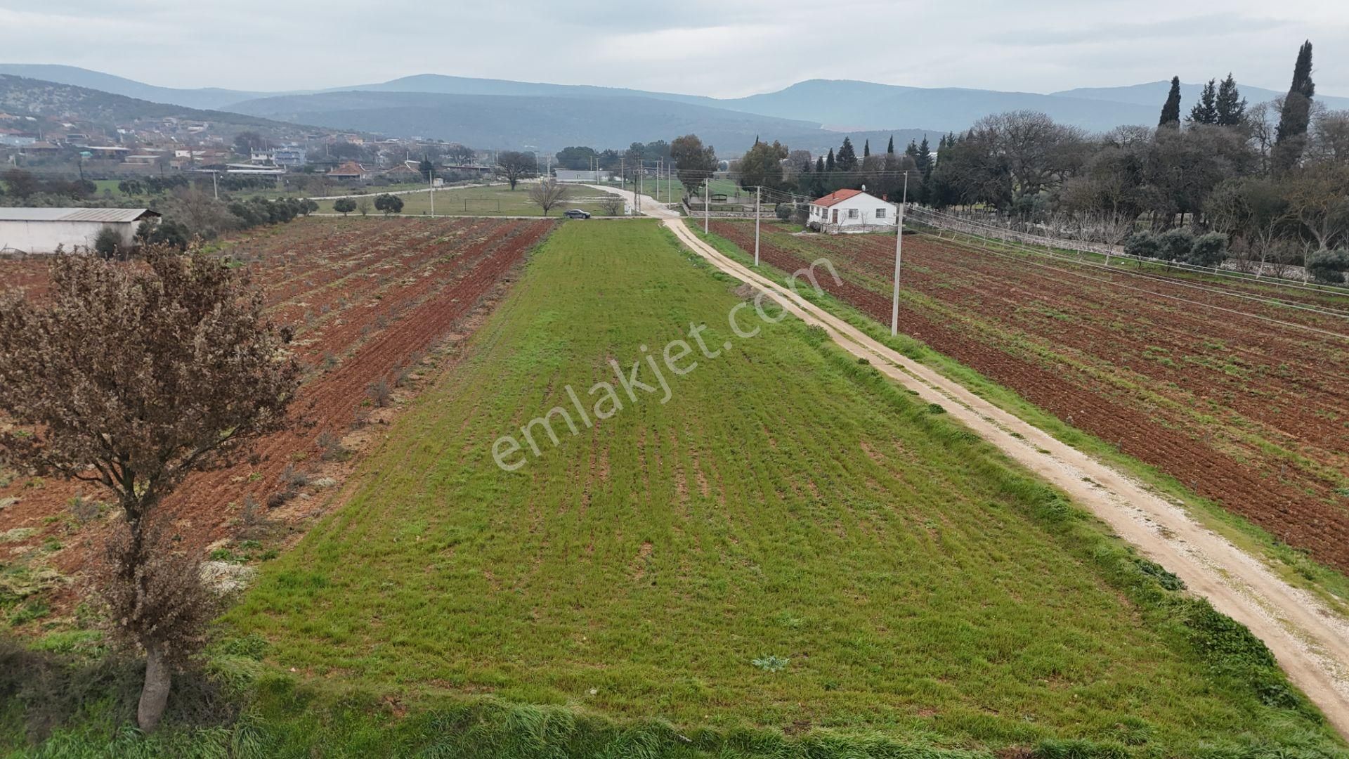 Menderes Çakaltepe Satılık Tarla Çakaltepe Köy Girişinde Satılık Tektapu 3.050 M2 Yatırımlık Arazi