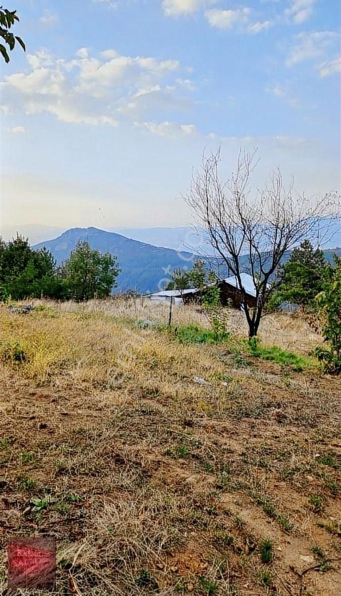 Kestel Orhaniye Satılık Tarla Kestel Orhaniye Köyü'nde Satılık Tek Tapu Kupon Arazi