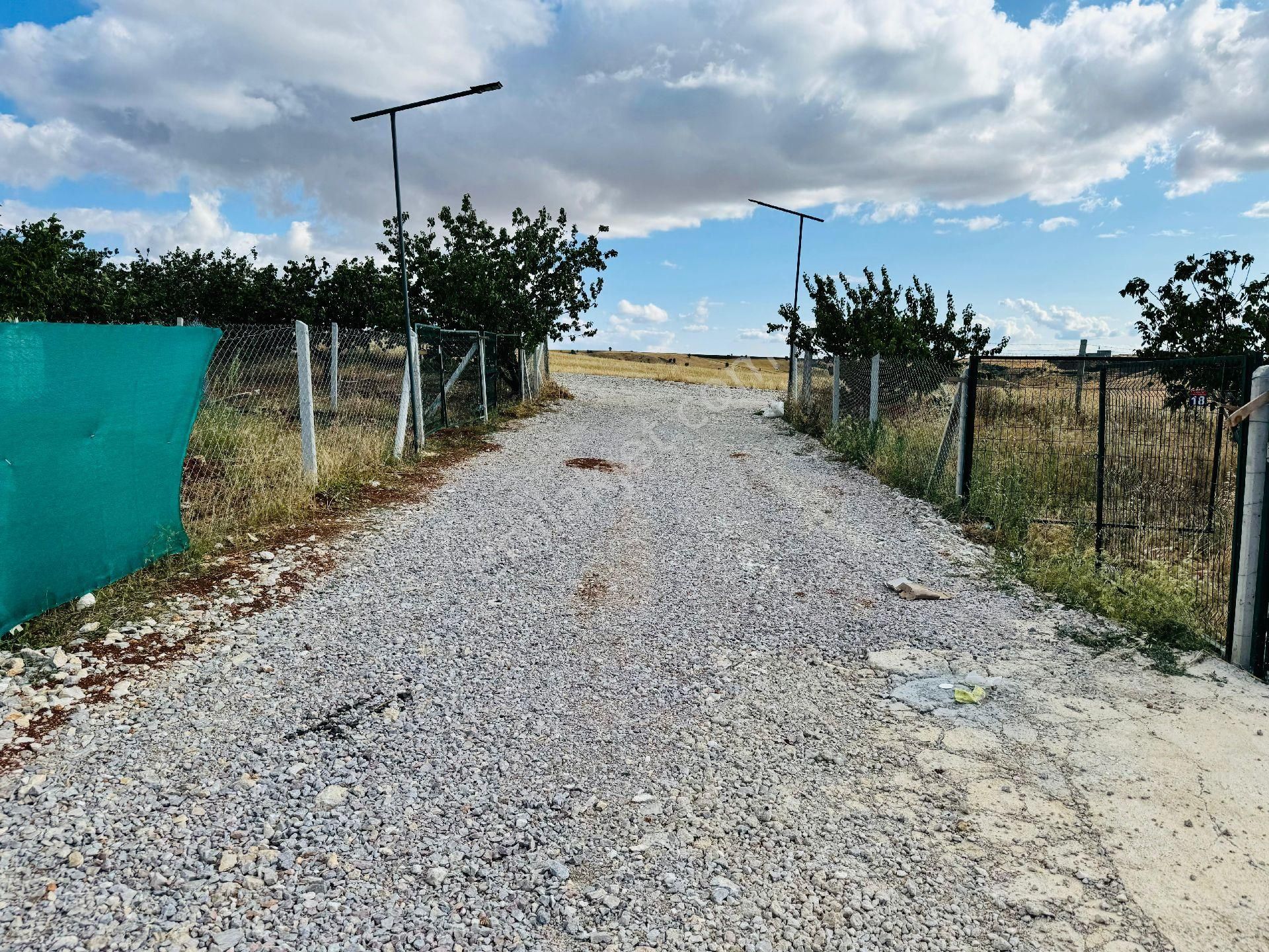 Akyurt Karacalar Satılık Tarla Hazer'den İlkbahar Öncesi Fırsat Fiyata Ağaç Ve Tel Çevirili Hobi Bahçeleri Suyu Yolu Kamera Mevcut