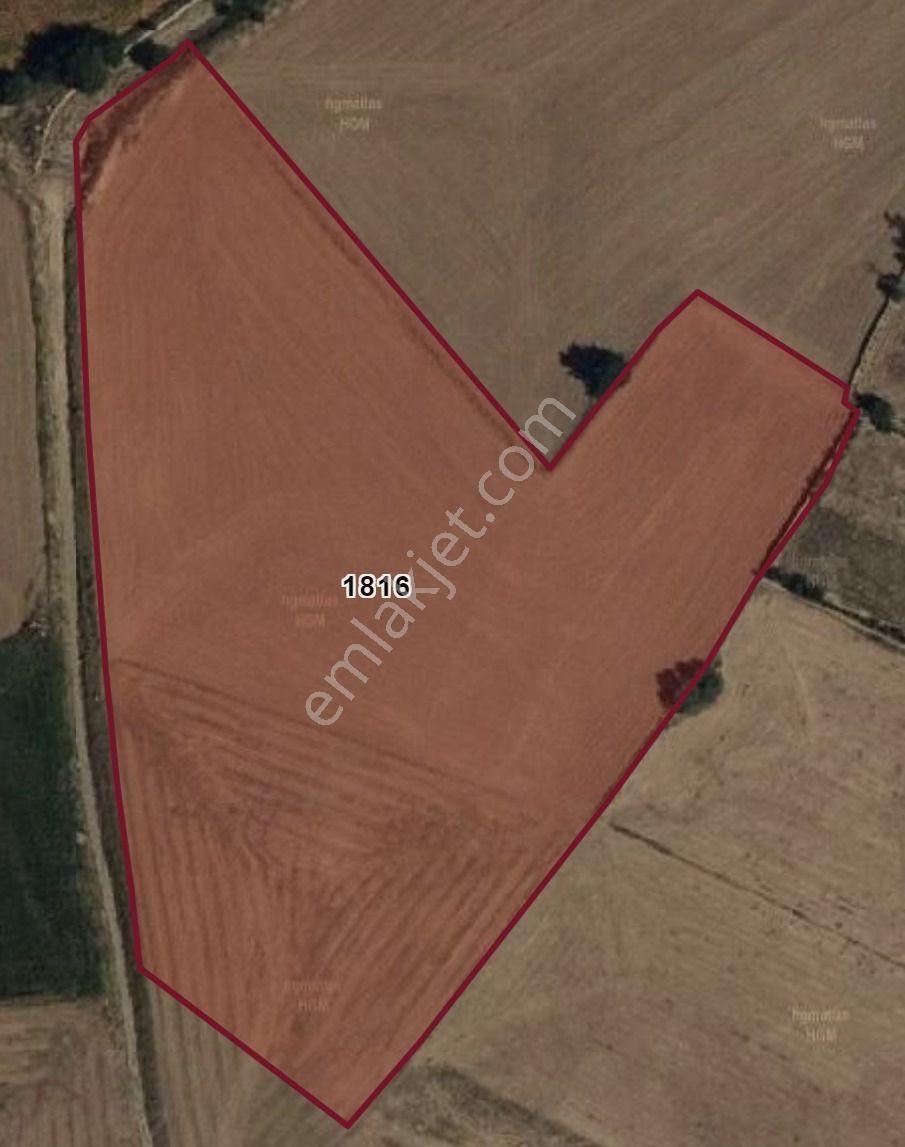 Emirdağ Suvermez Köyü Girişinde Satılık Tarla Foresta' Dan - Görsel 2